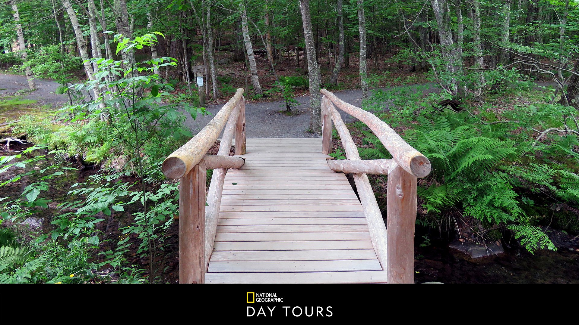 Wandern auf dem Monte Raschio