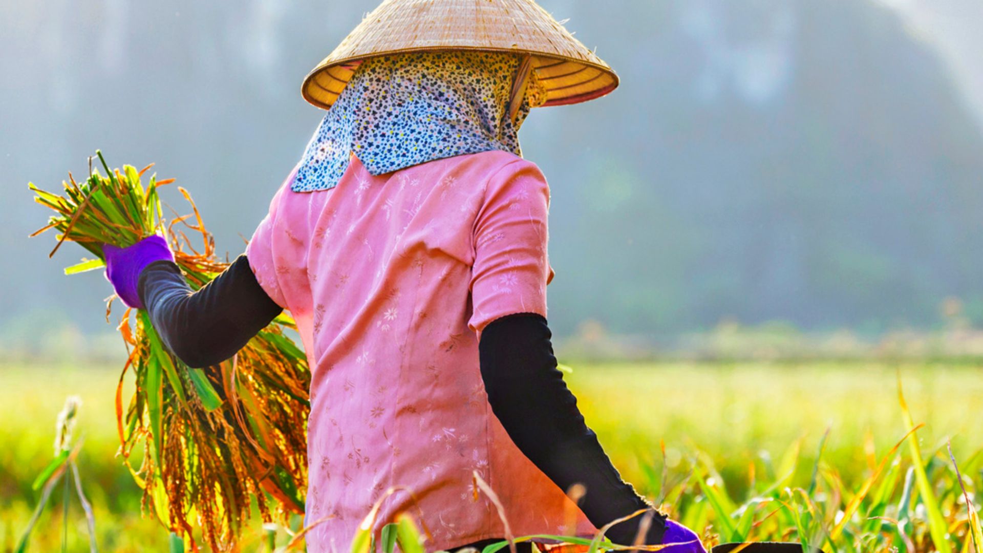 Ländliches Vietnam: Farmleben und einheimisch Kochen
