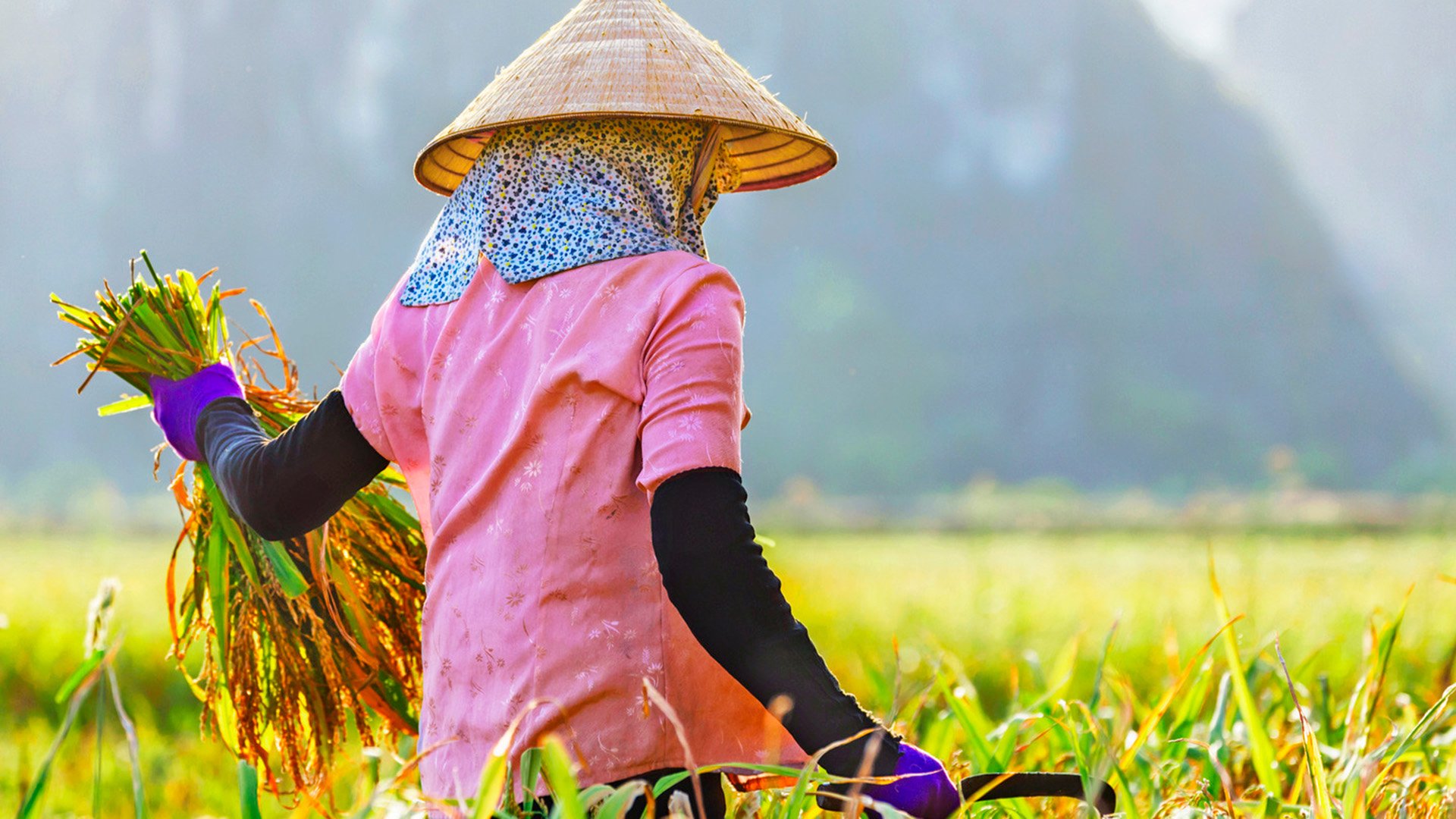 Ländliches Vietnam: Farmleben und einheimisch Kochen