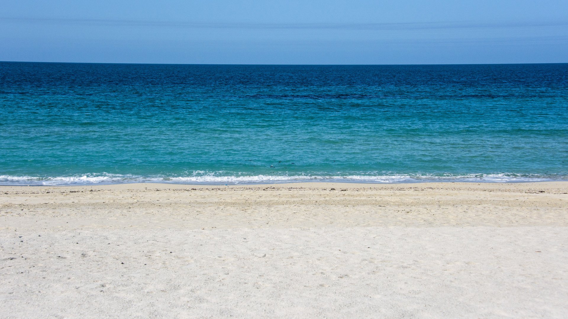 Beach of Sir Bani Yas Island