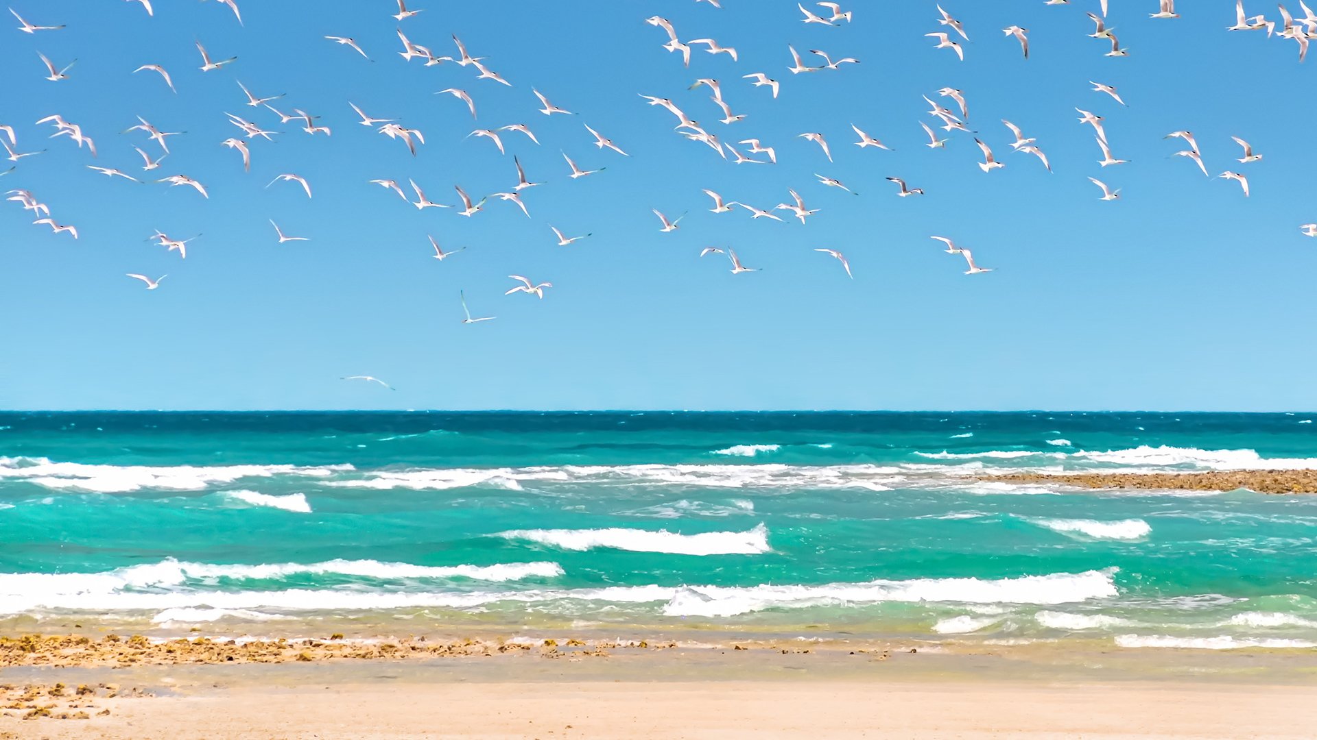 A Girl Chasing Birds in Quite Island in Abu Dhabi,UAE