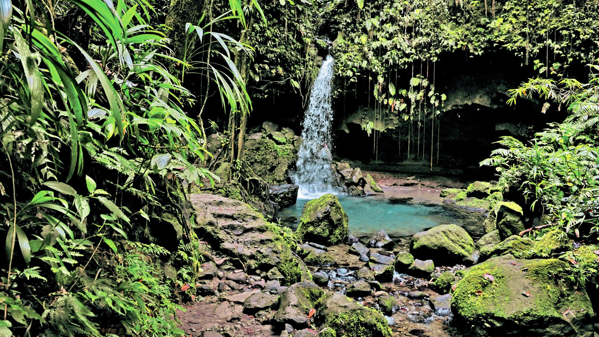 Dominica erleben: Wasserfälle, Heiße Quellen und der botanische Garten