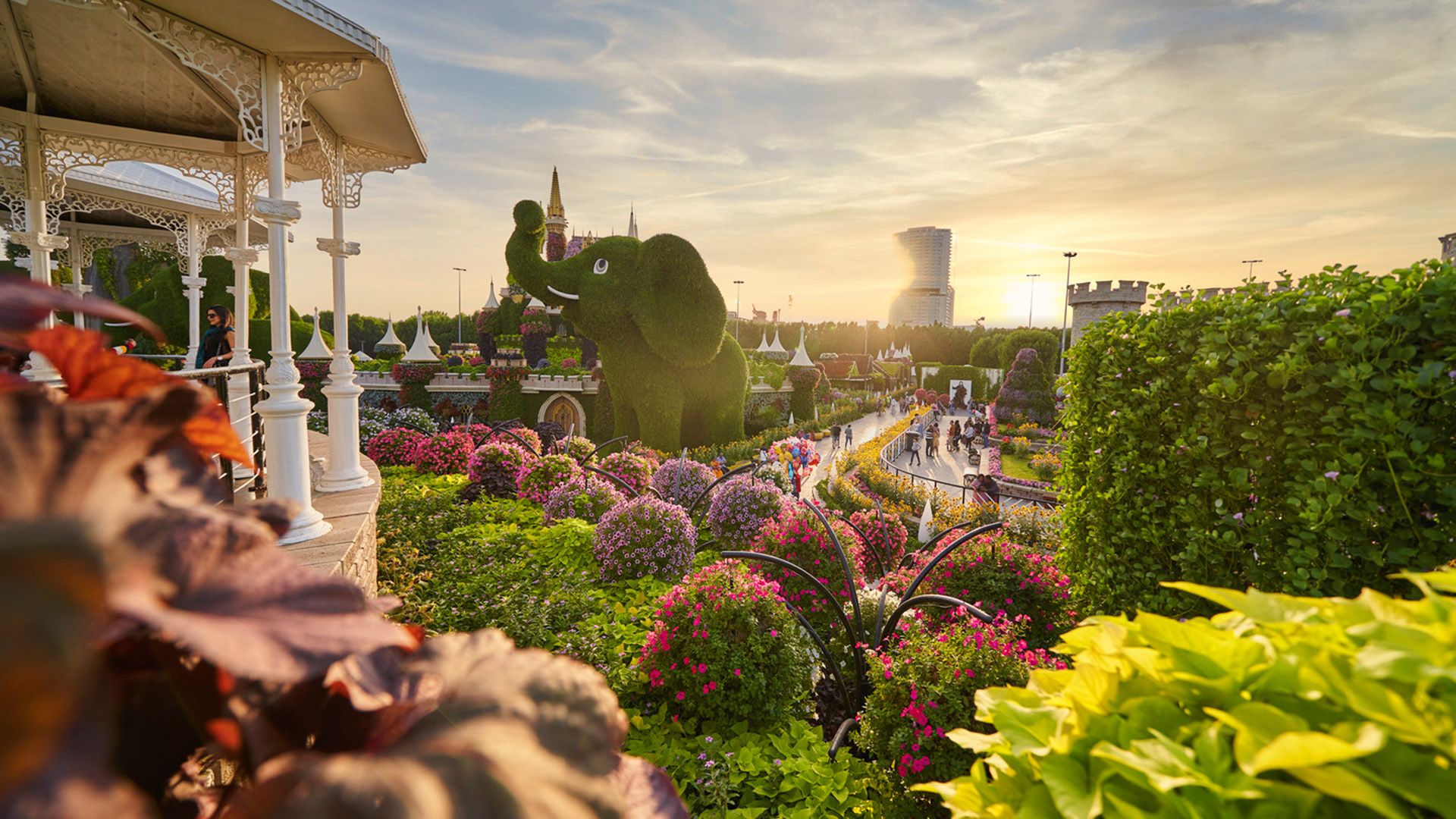 Blumenwunder in Dubai – Weltreise im Lichtermeer