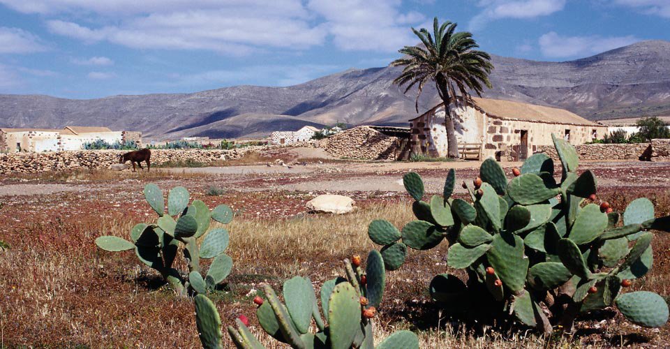 Fuerteventura auf drei Rädern (Fahrt mit dem Trike)