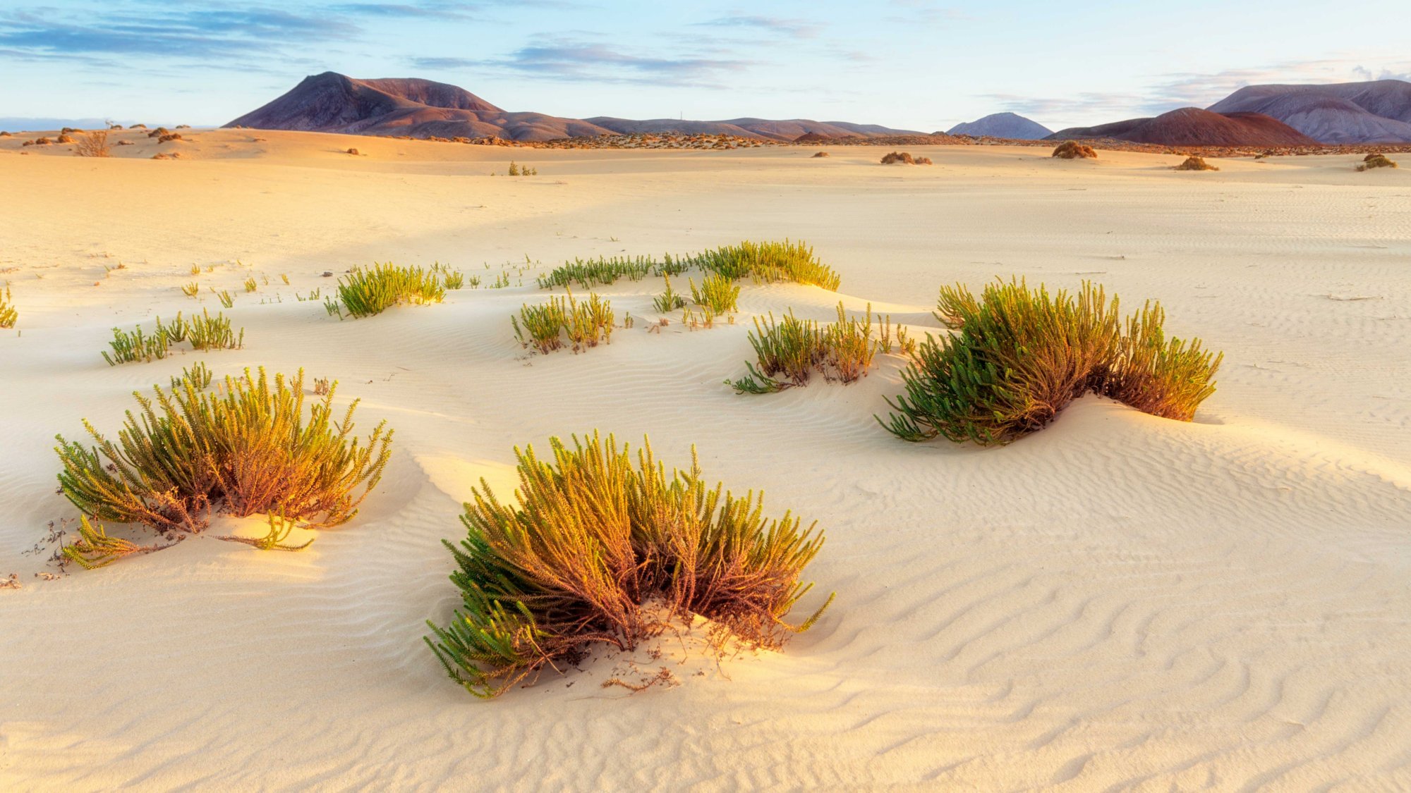 Sand dunes, near Corralejo, Fuerteventura, Canary Islands, Spain, Atlantic, Europe