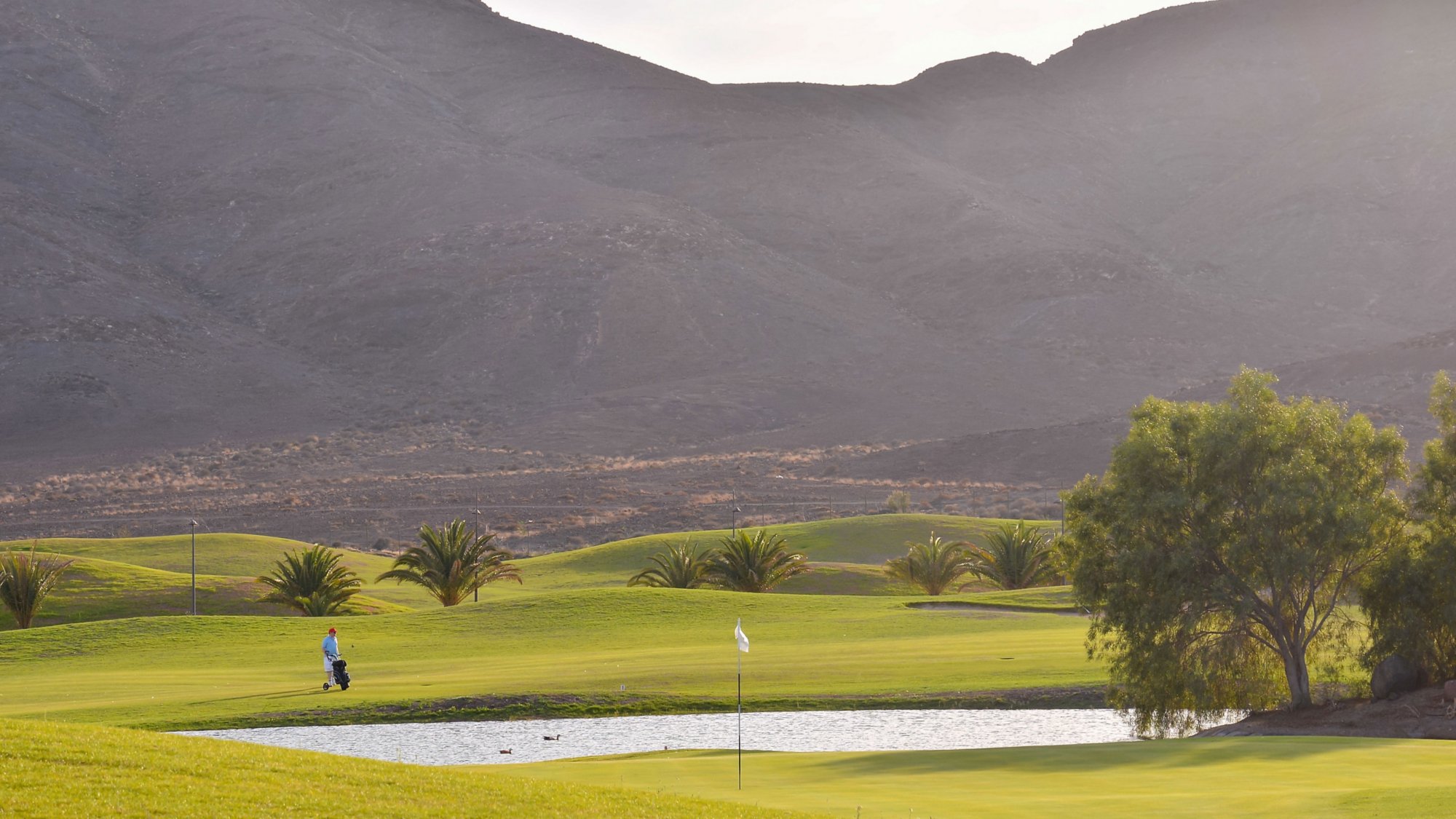 Golf course with gorgeous green