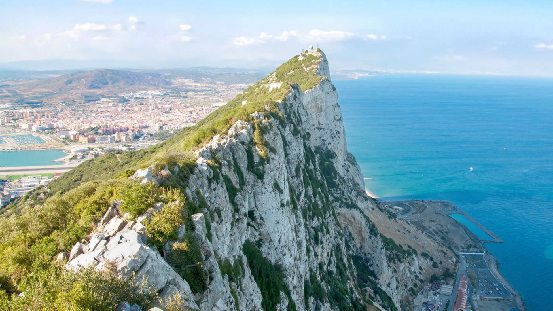Delfinsafari vor der Küste Gibraltars