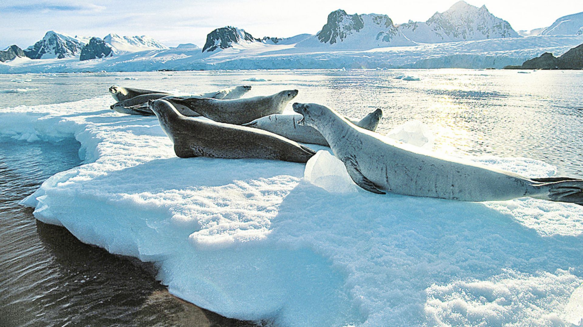 Die Schönheit der Natur per Boot entdecken
