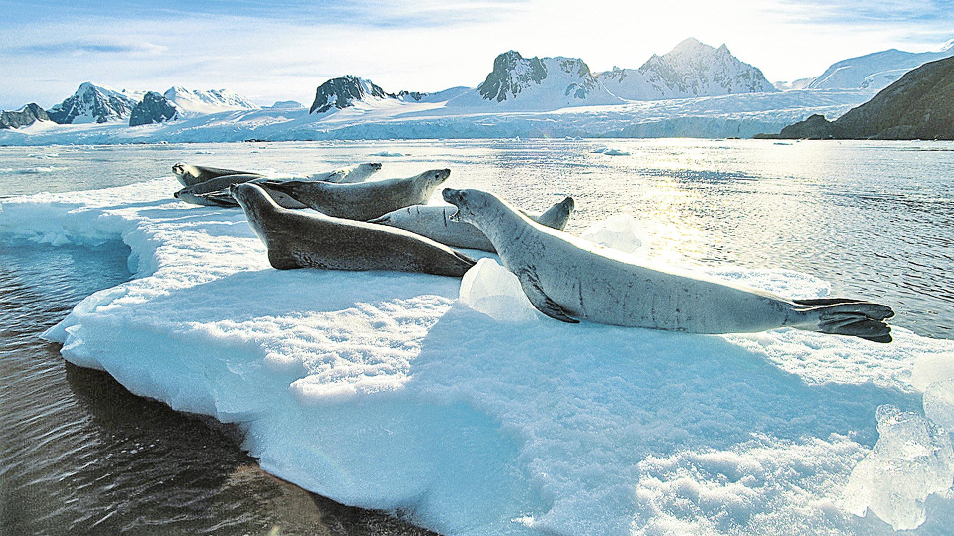 Die Schönheit der Natur per Boot entdecken