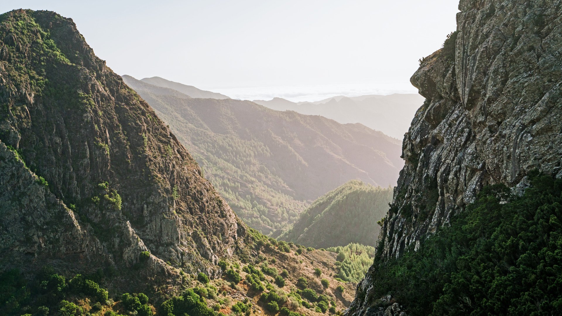 Komm an Land: Nationalpark Garajonay auf einen Blick