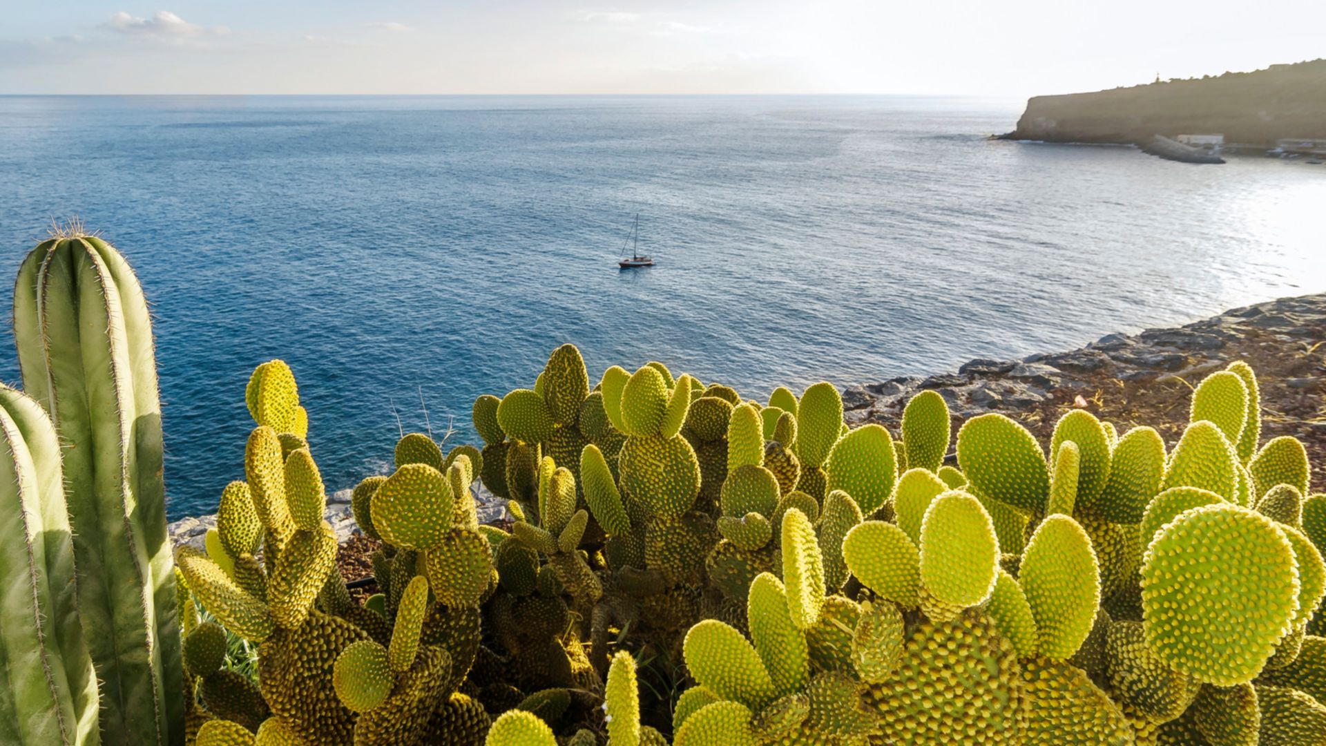PRIVAT-Tour: San Sebastián de la Gomera - halbtags - Auto