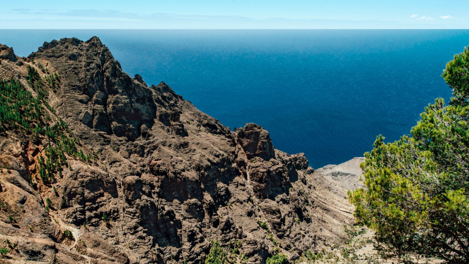 PRIVAT-Tour: San Sebastián de la Gomera halbtags - halbtags - Van