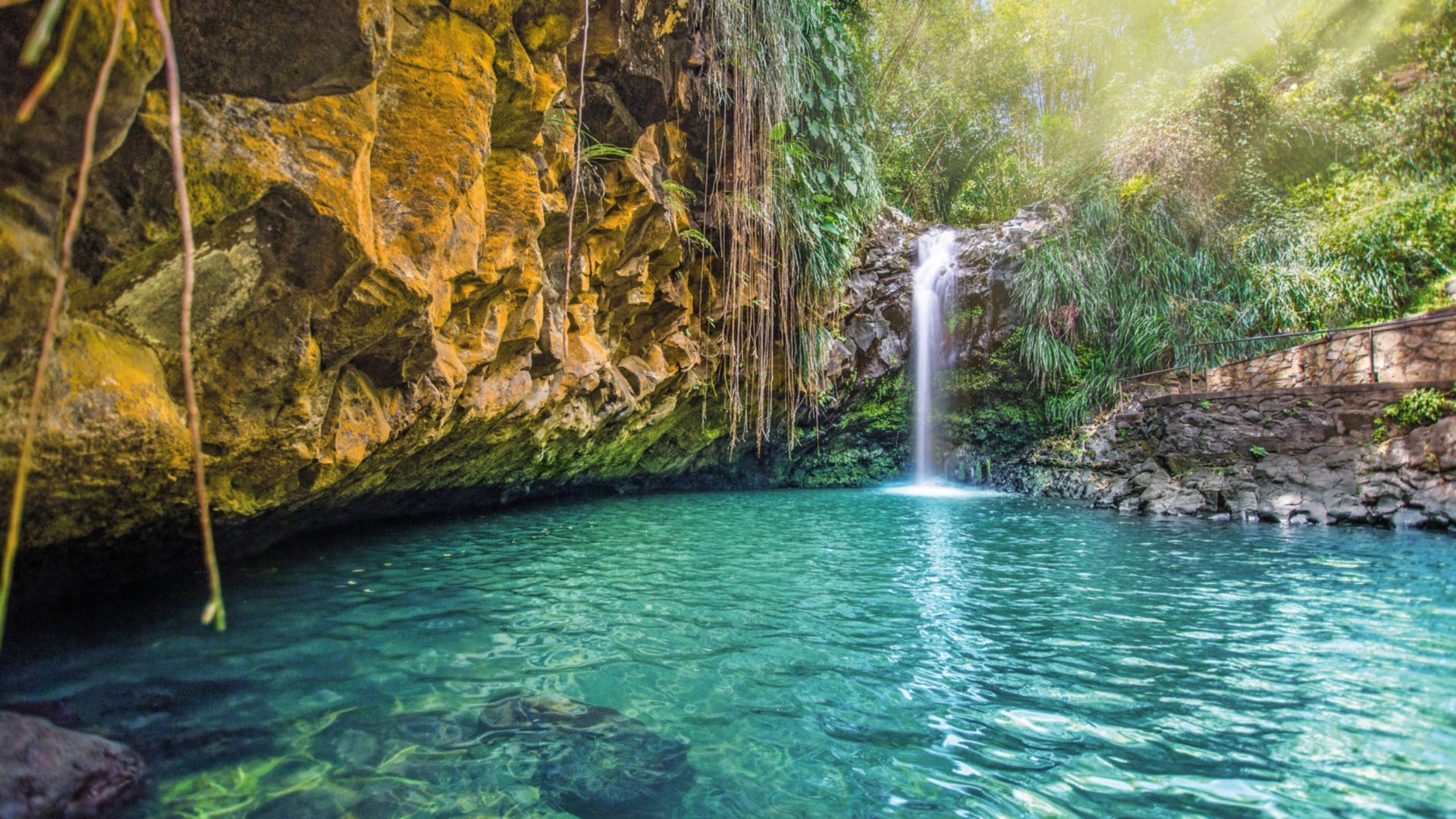 Regenwaldwanderung und Annandale Wasserfall