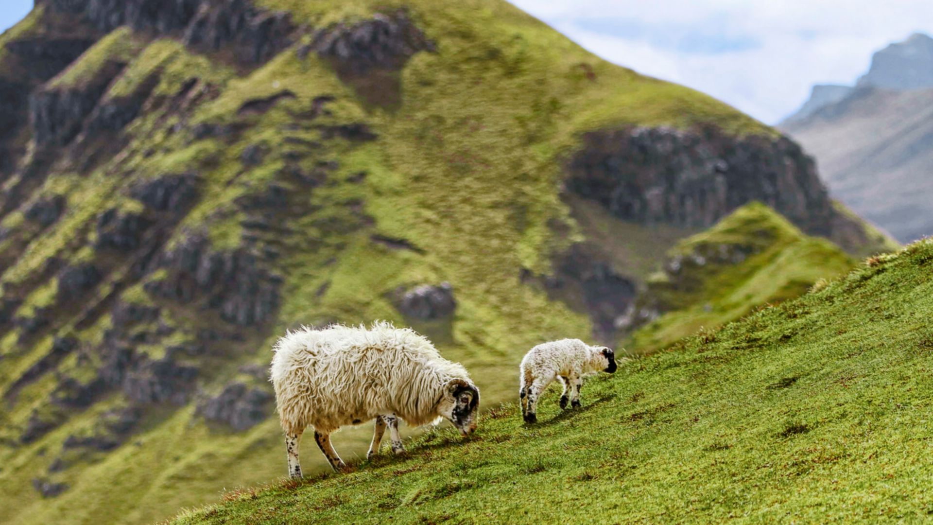 Schottland zu Land und per Boot erleben