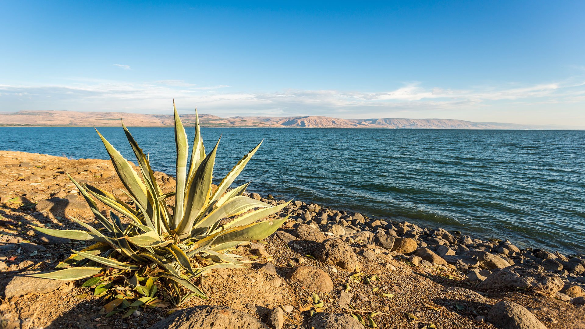 Panorama of The Galilee Sea, Israel