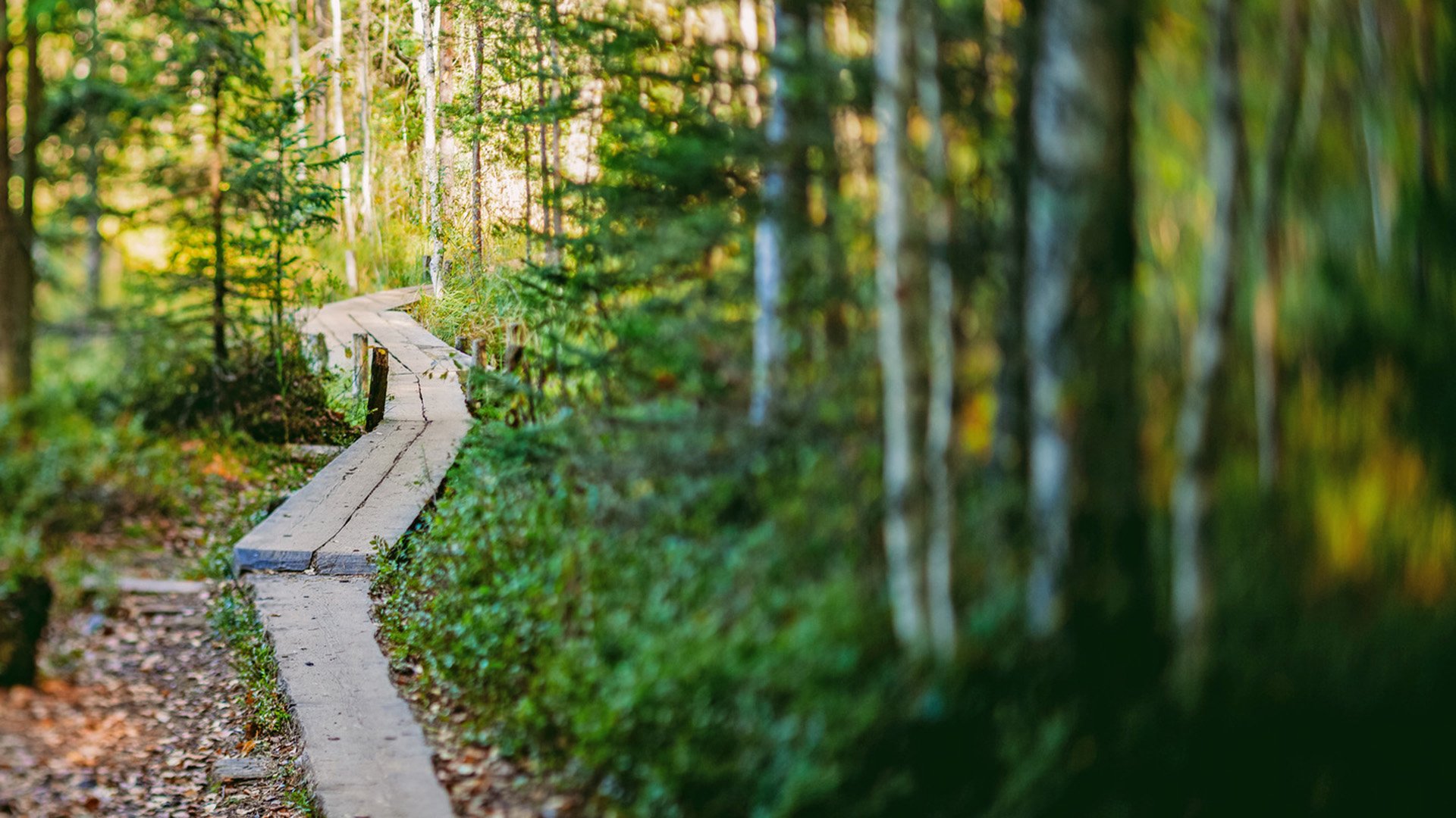 Helsinki und Nuukio Nationalpark