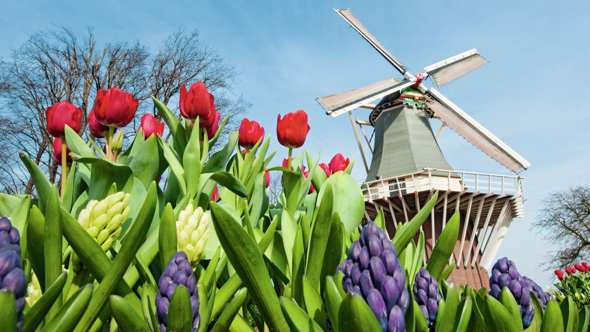 Blumenparadies Keukenhof