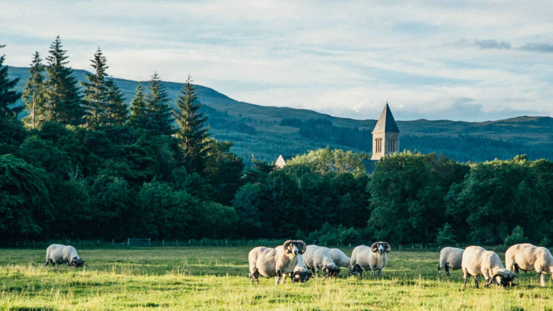 Komm an Land: Landschaftsfahrt in die Umgebung von Invergordon