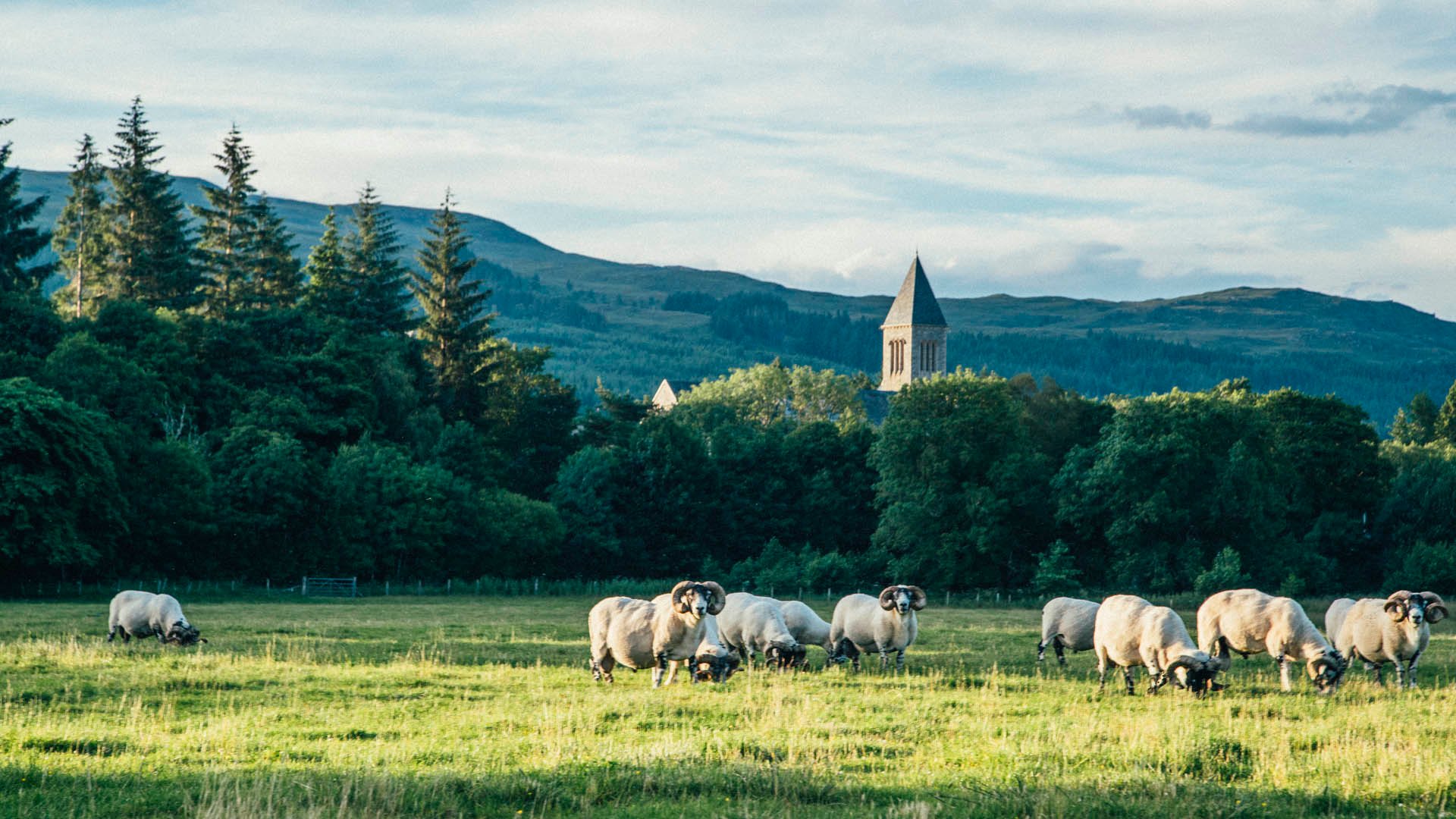 Komm an Land: Landschaftsfahrt in die Umgebung von Invergordon