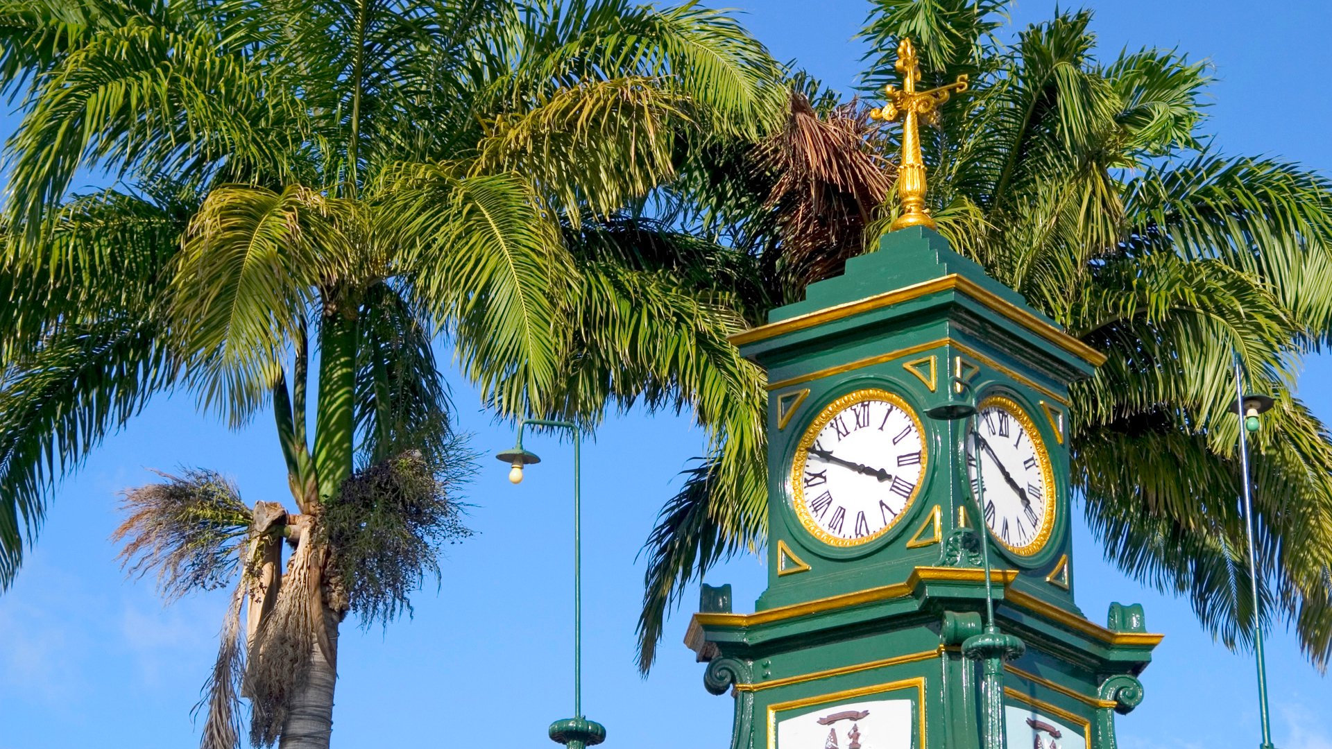 Clock tower in Basseterre, St. Kitt's. Palm trees fill in blue sky in background. We have many images from St. Kitt's in our portfolio.