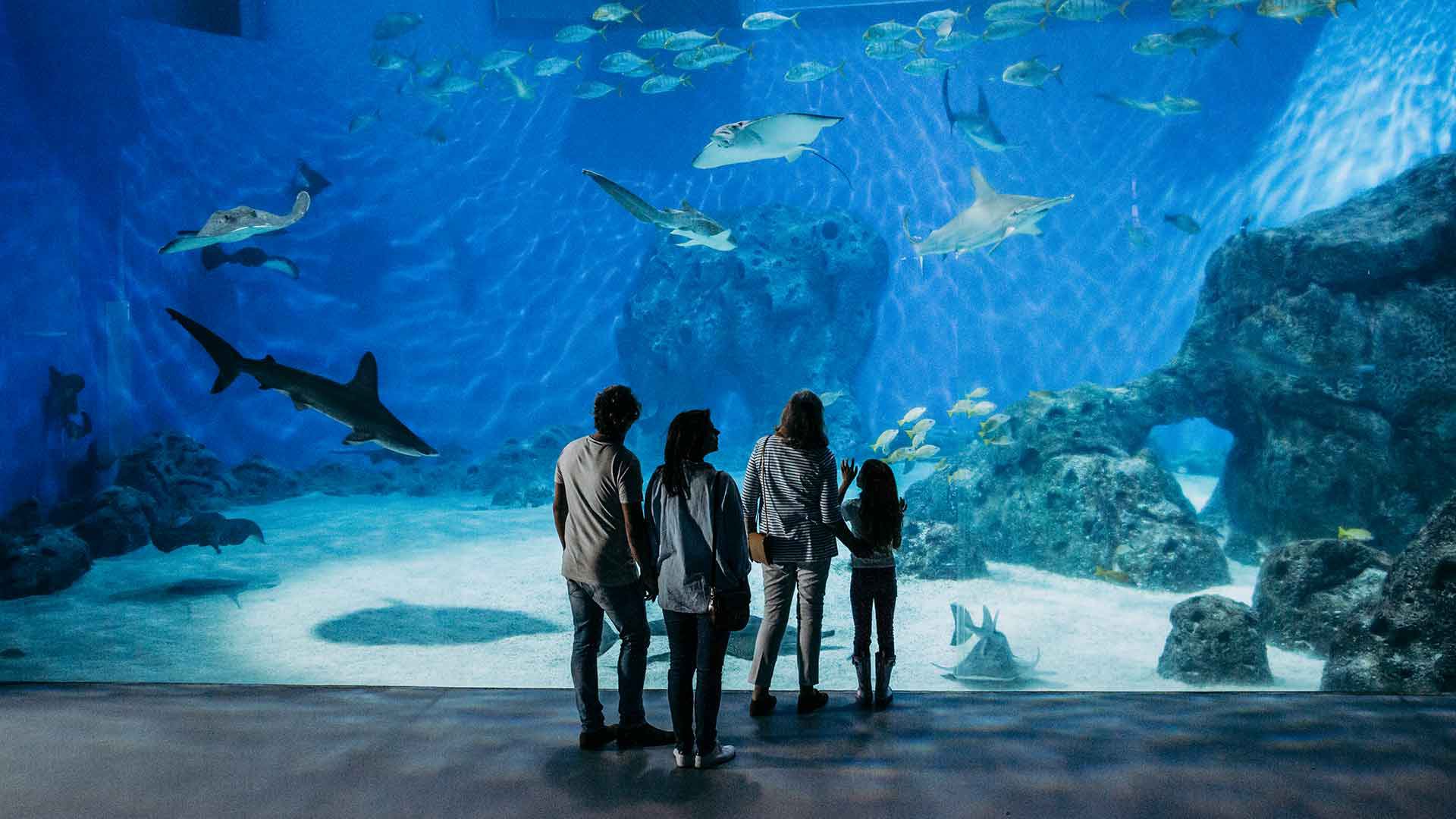 Kopenhagen & Aquarium