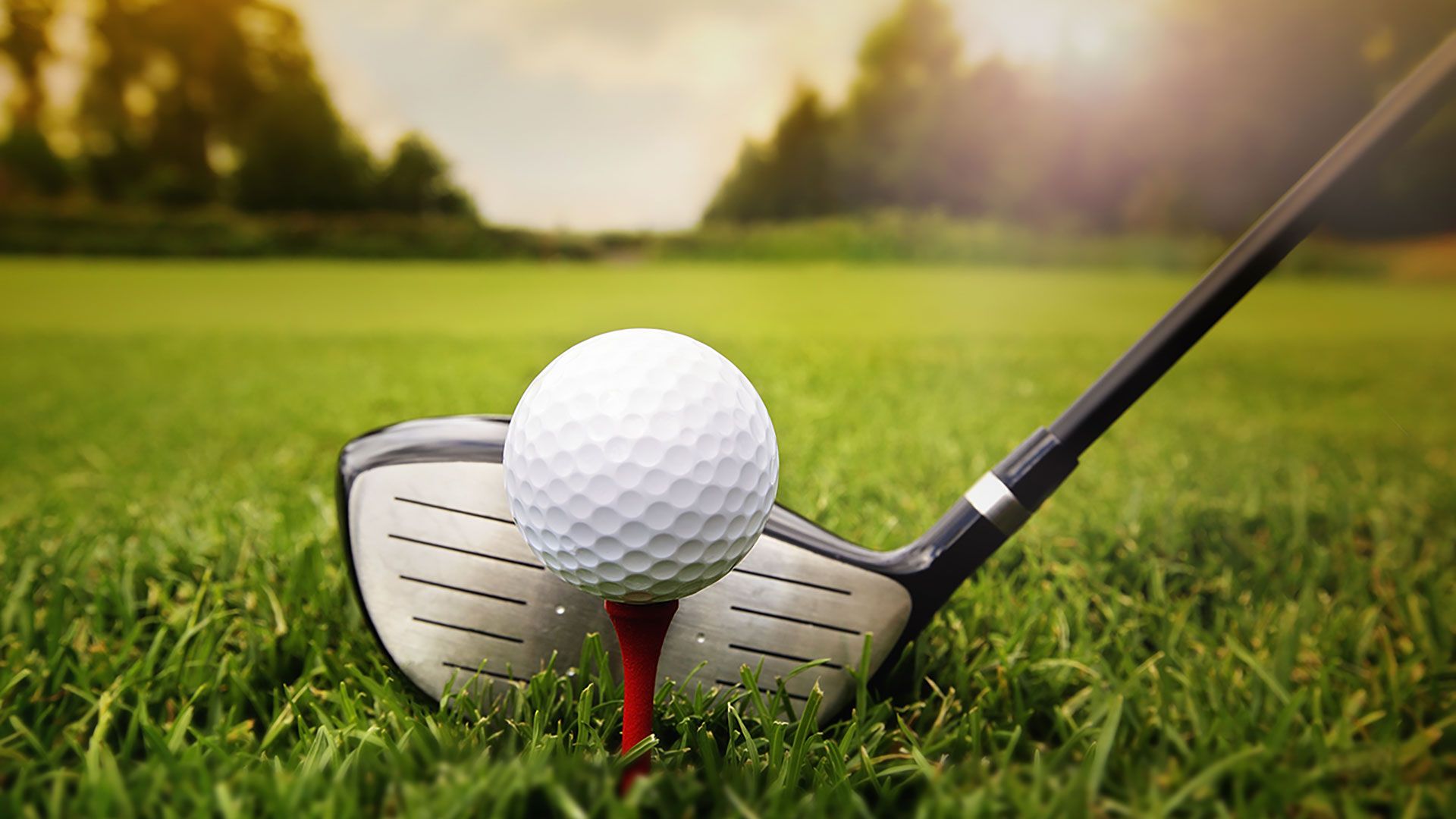 Golf Club Son Termens