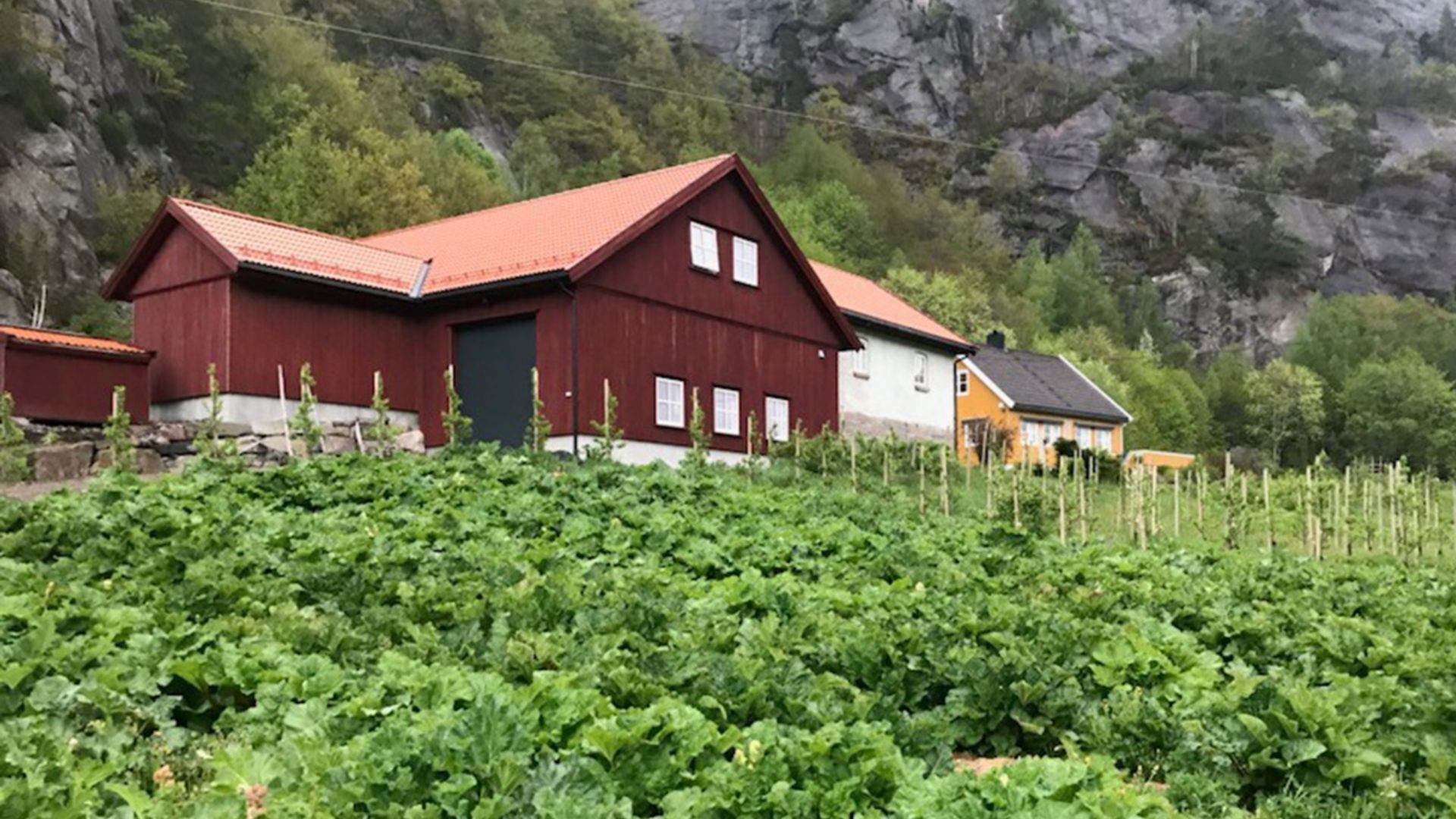 Skråstad Farm Besuch