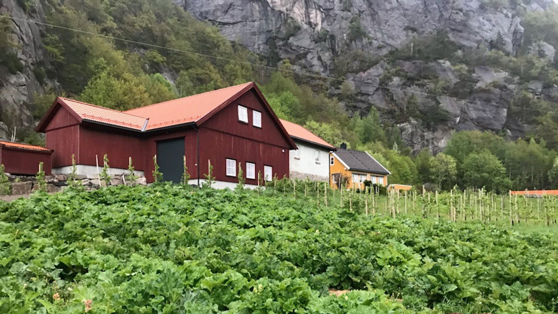 Norwegische Traditionen hautnah erleben