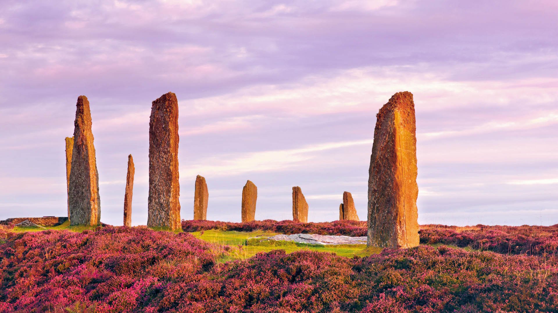 The ancient standing stones of the Ring of Brodgar in the Orkney Islands off the north coast of Scotland, in the early morning just at sunrise. This monument in the heart of the Neolithic Orkney World Heritage Site is believed to have been built between 4000 and 4500 years ago. Originally built with sixty stones in a circle over 100 metres (over 100 yards) across, fewer than half of the stones still stand. The tallest of the stones is a little over 4.5 metres (15 feet) tall.