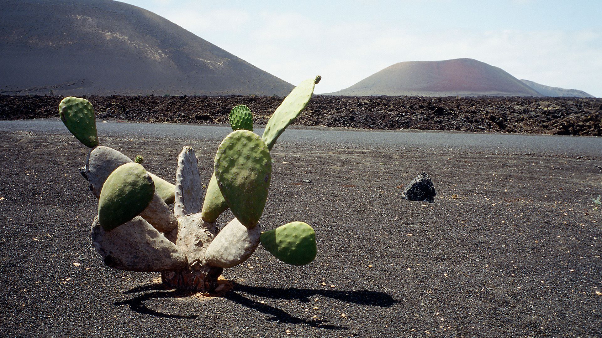 Timanfaya-Nationalpark: Feuerberge und Kamele