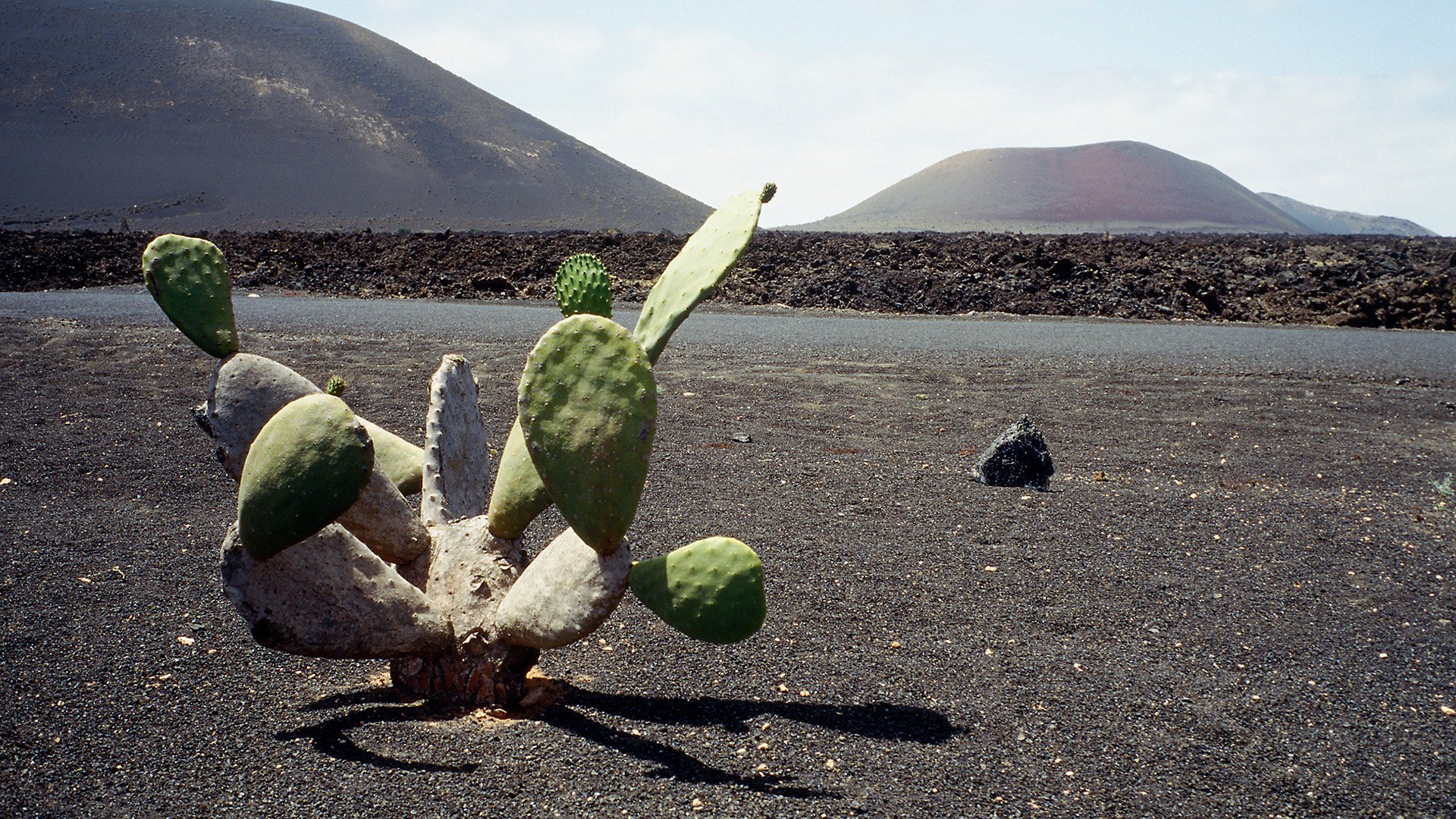 Timanfaya-Nationalpark: Feuerberge und Kamele