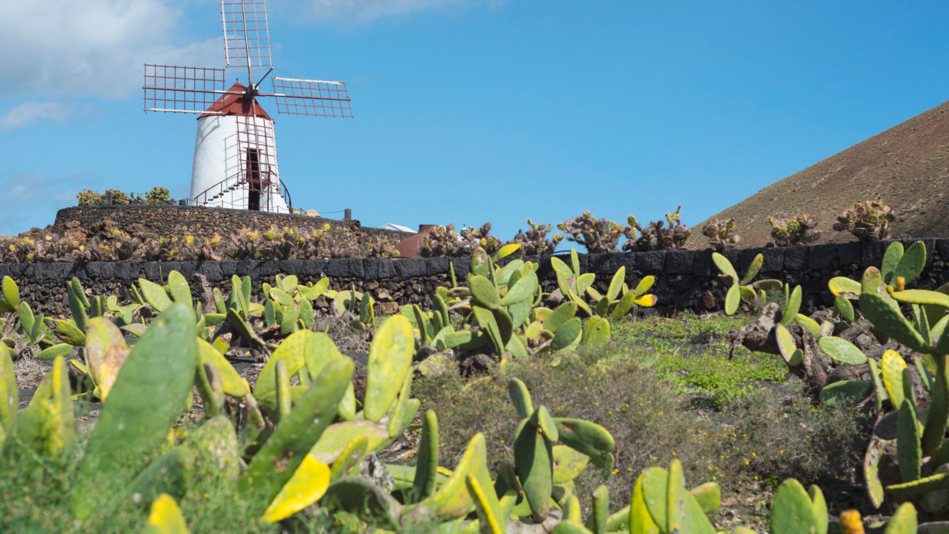 Entlang der Costa Teguise mit dem E-Bike