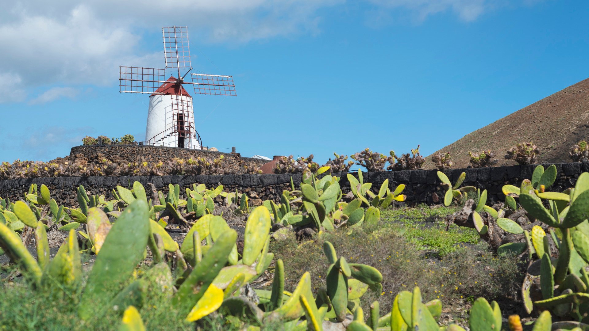 Entlang der Costa Teguise mit dem E-Bike