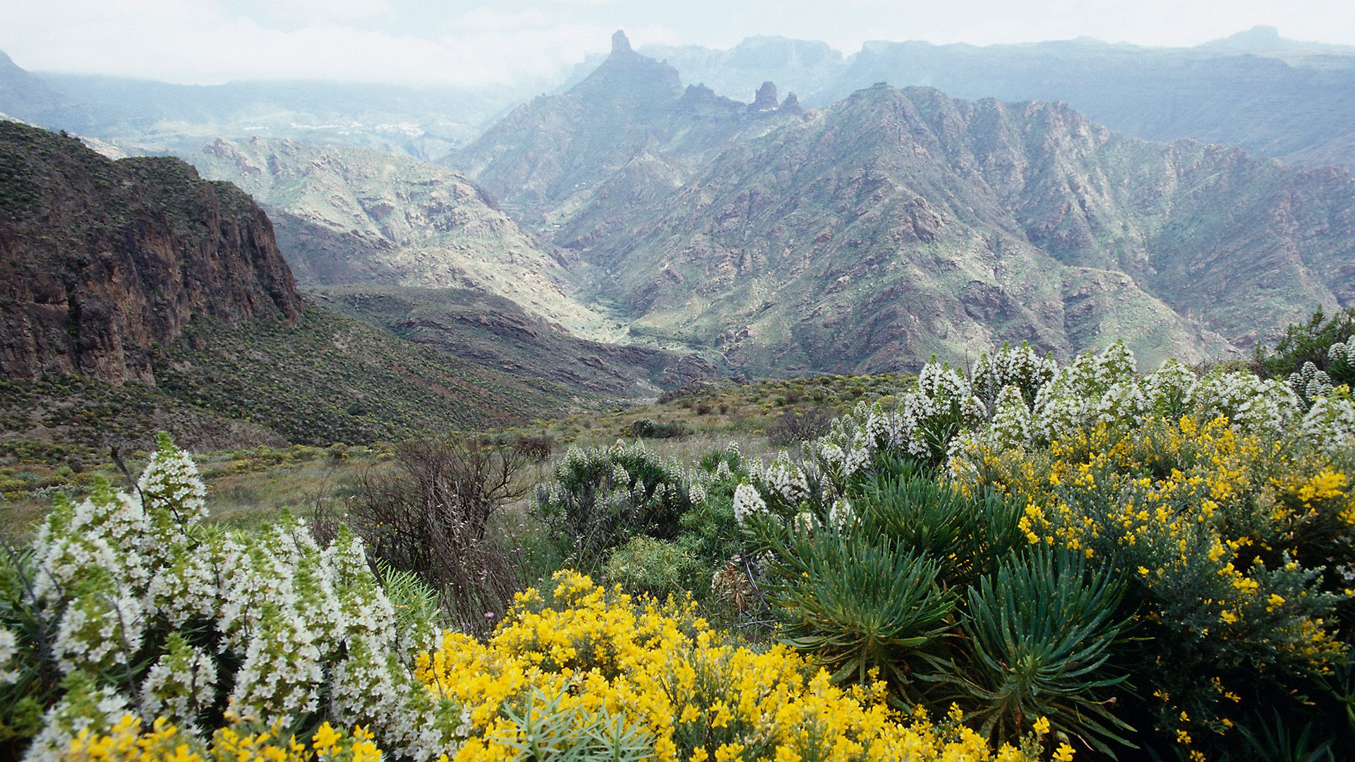 Los Tilos & Charco Azul – La Palmas grünes Geheimnis