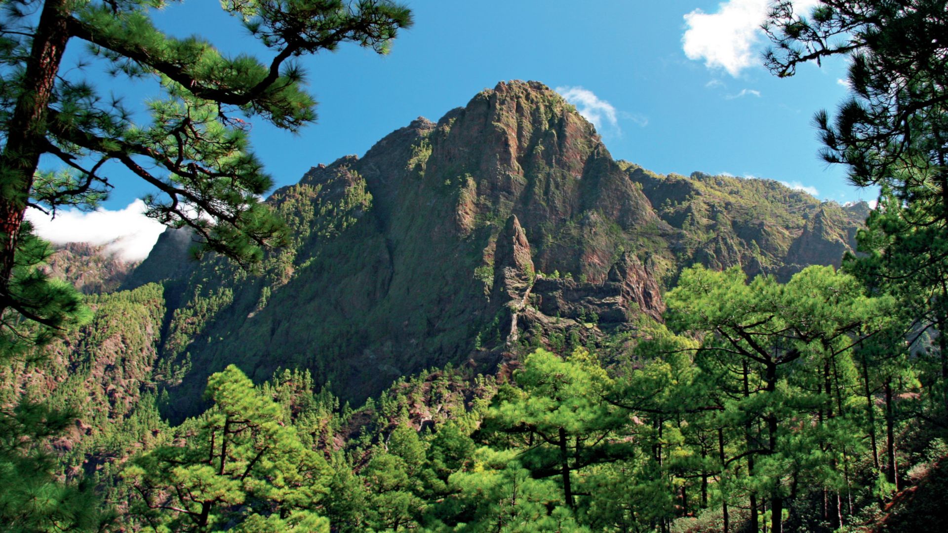 La Palma im Vulkanblick – Kraterrand-Spaziergang