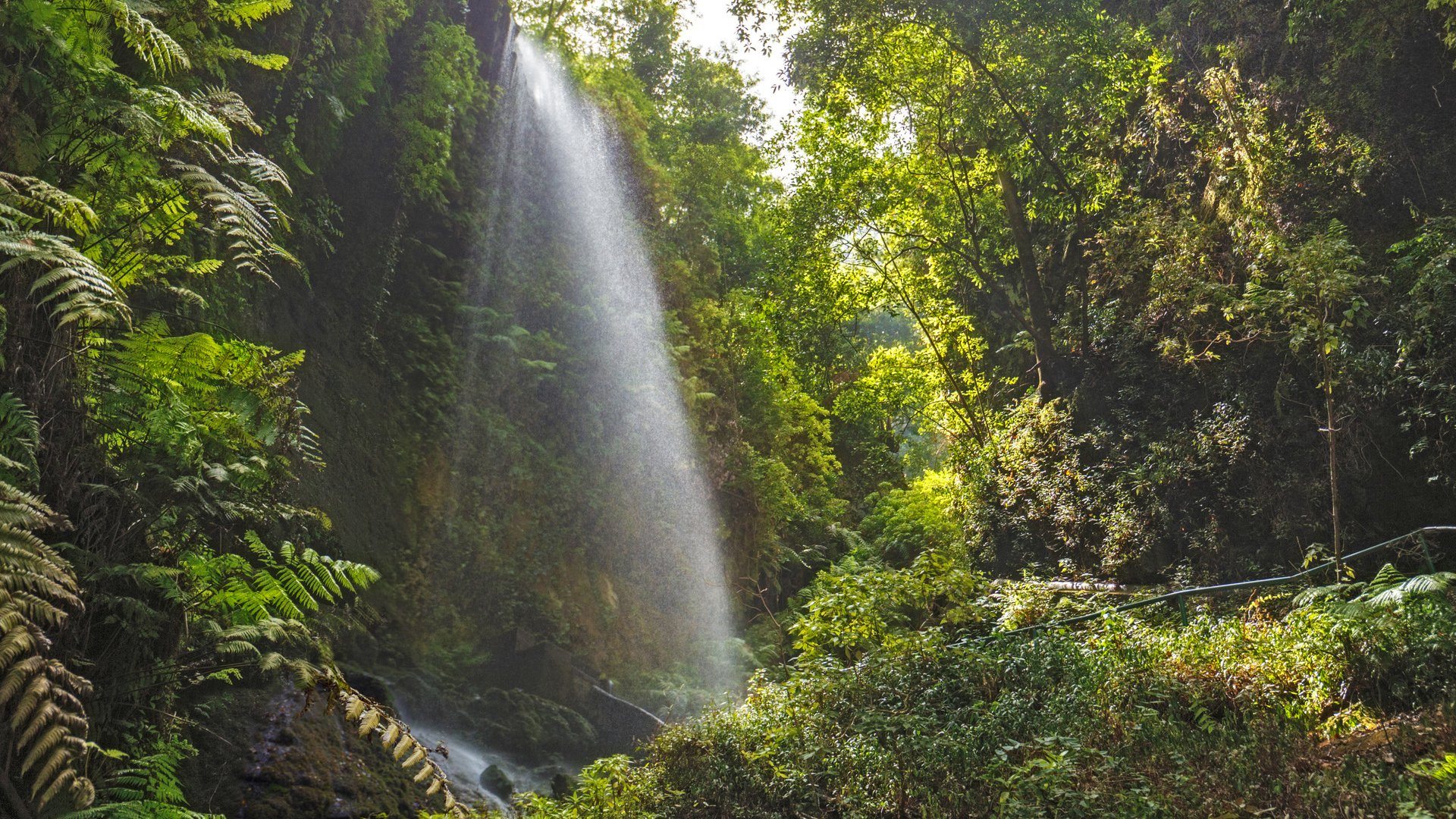 Los Tilos Waterfall in La Palma, Canary Islands