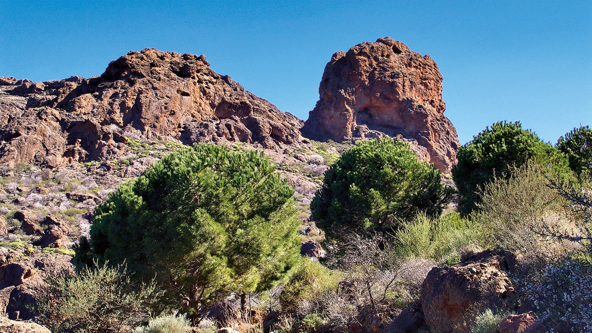 La Palma: Buggytour (2-Sitzer)