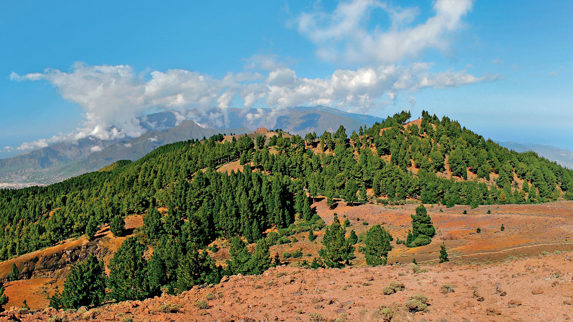Caldera de Taburiente – Blicke & Zigarrengeheimnis