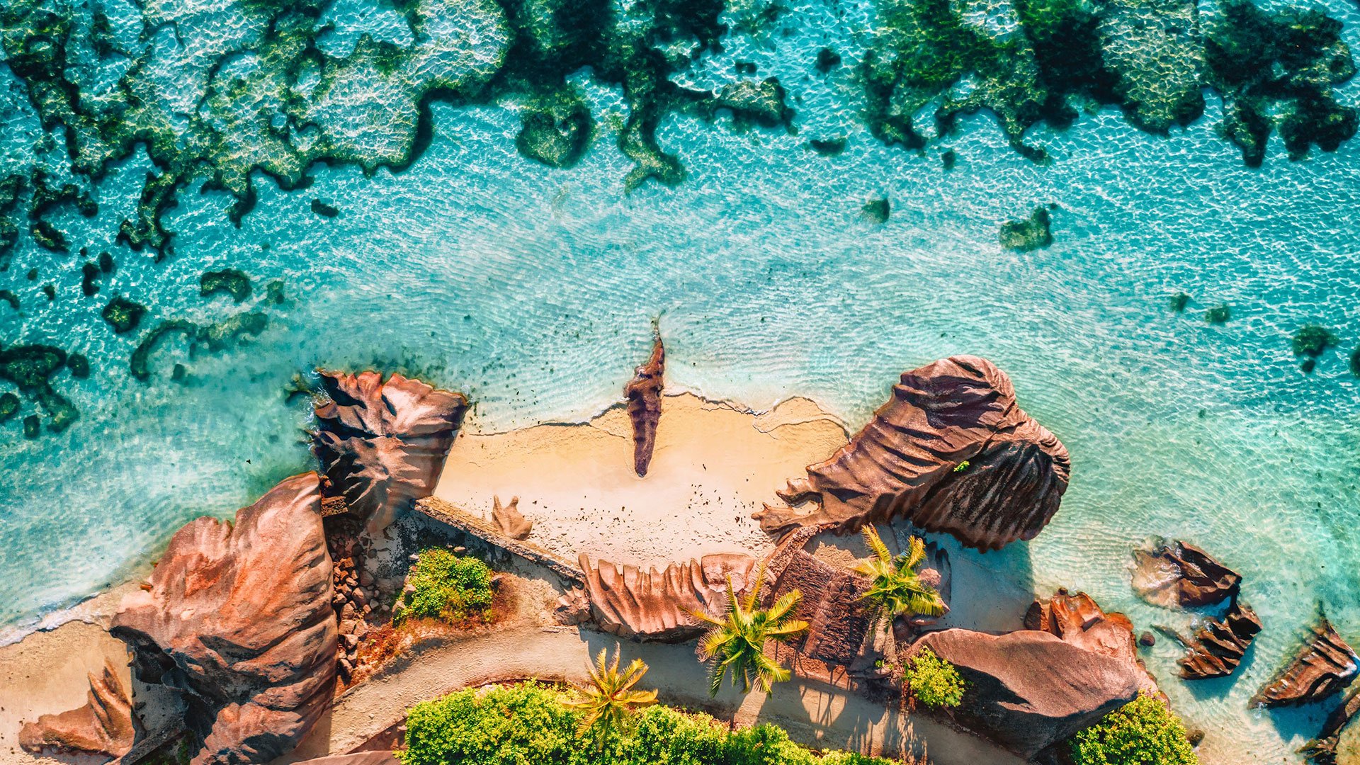 Aride Island: Juwel des Indischen Ozeans 