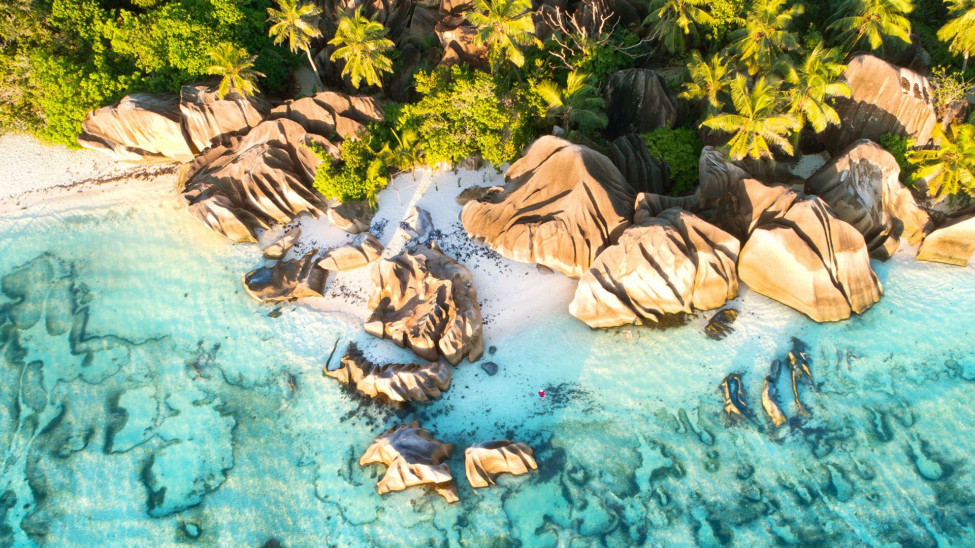 Unterwasserparadies: Schnorcheln auf Coco und Felicite Islands