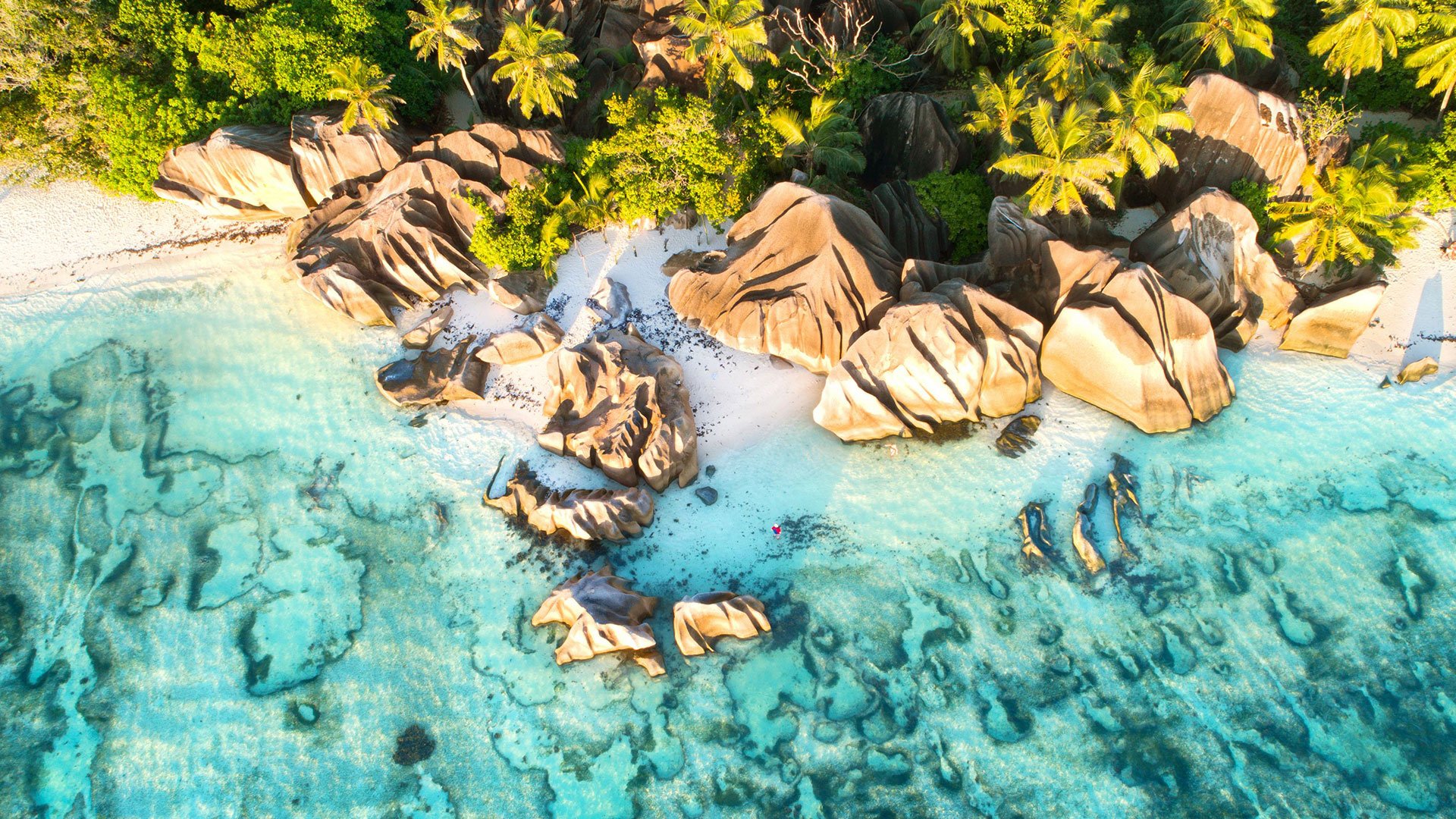 Unterwasserparadies: Schnorcheln auf Coco und Felicite Islands