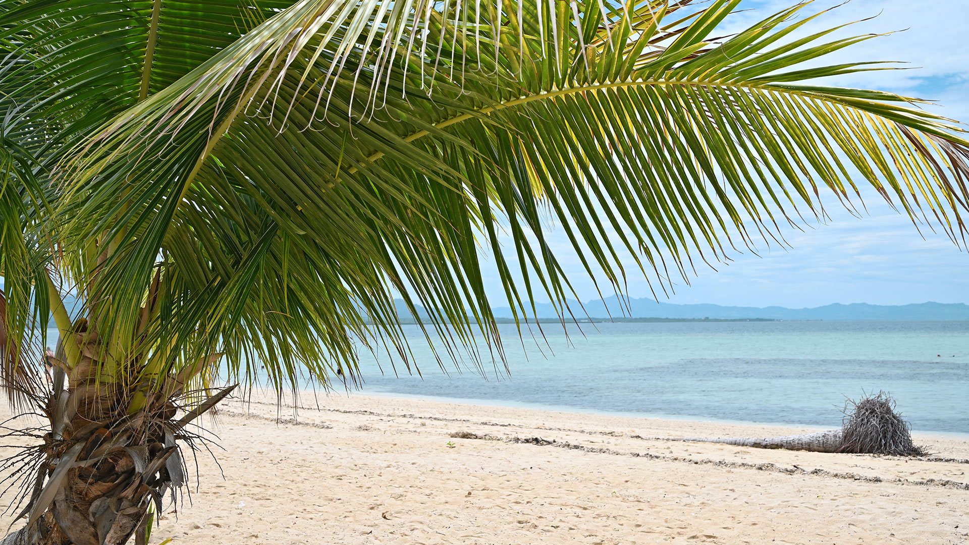 Vuda-Halbinsel und Strand per E-Bike