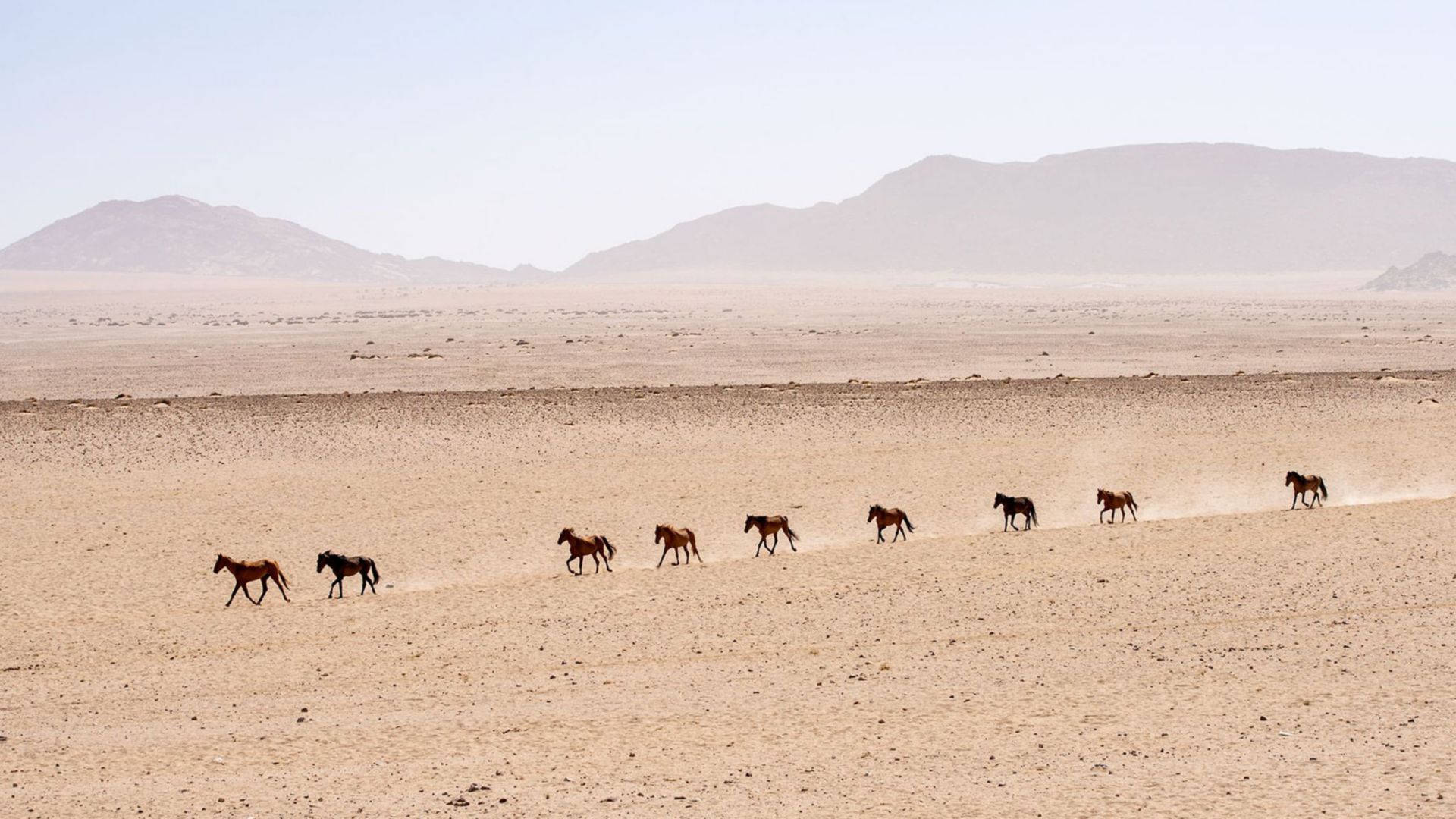 Wüstentour in die Namib-Wüste