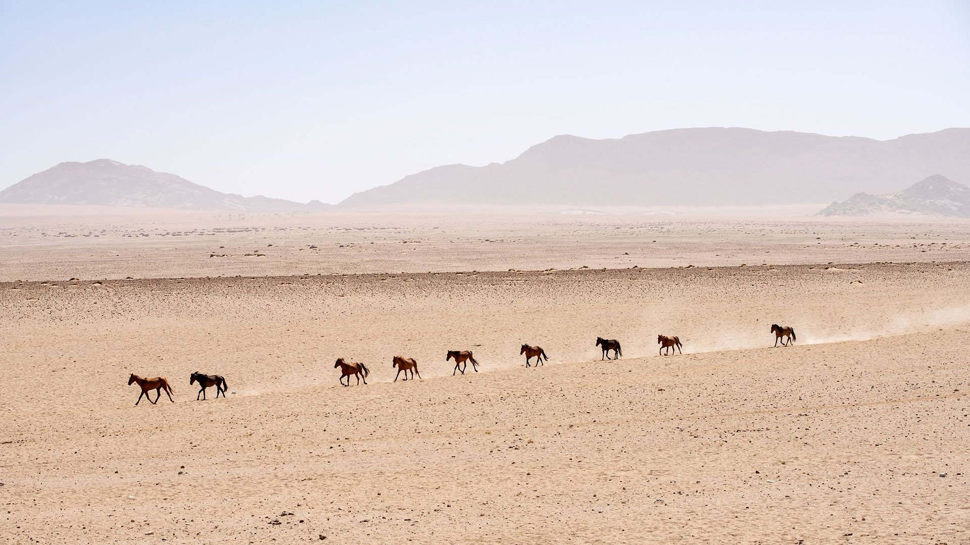 Wüstentour in die Namib-Wüste