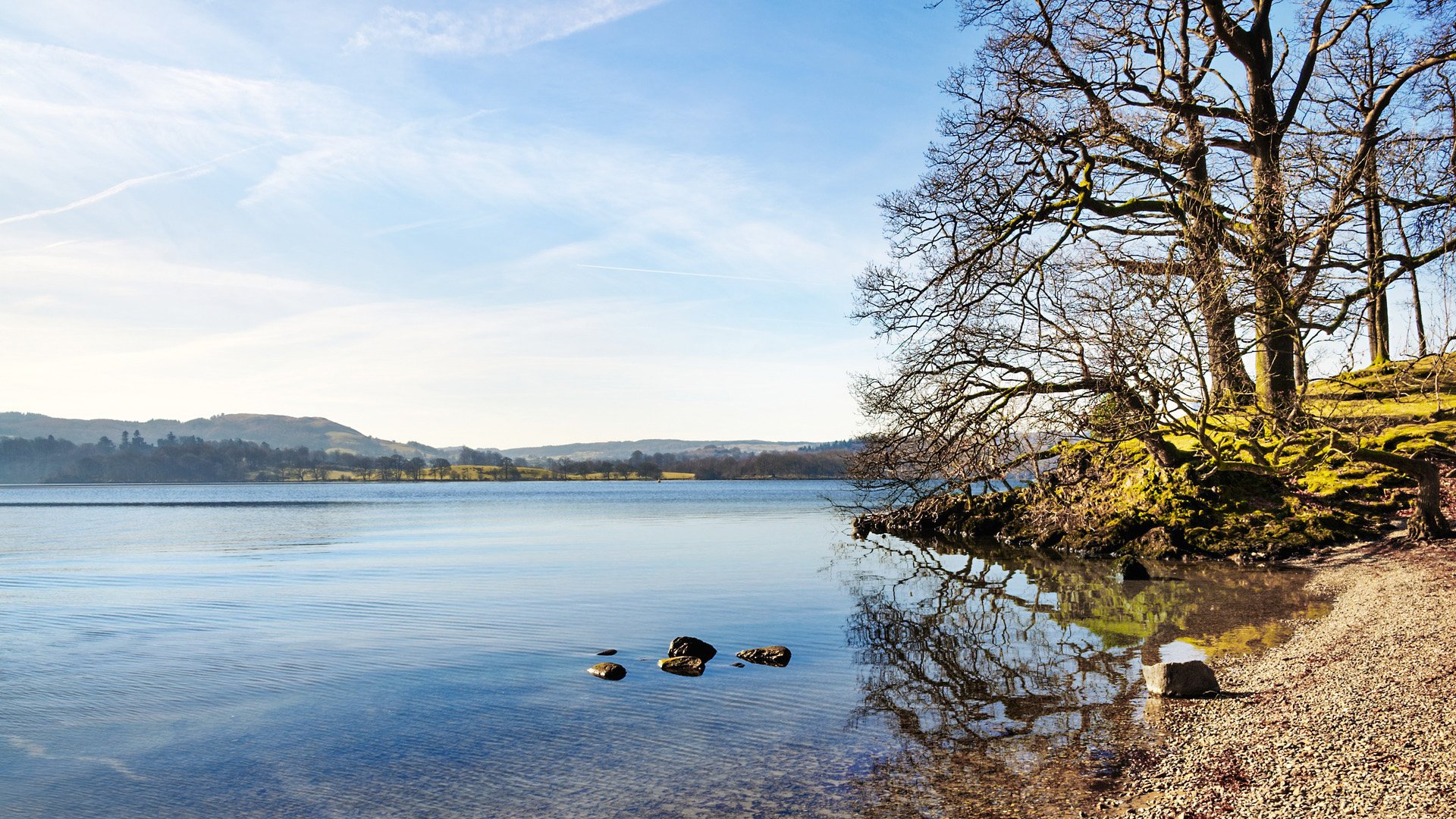 18785313 - tranquil view of trees and pebble strewn shore of windermere, with calm reflections in the clear waters, on a sunny winter morning in the english lake district