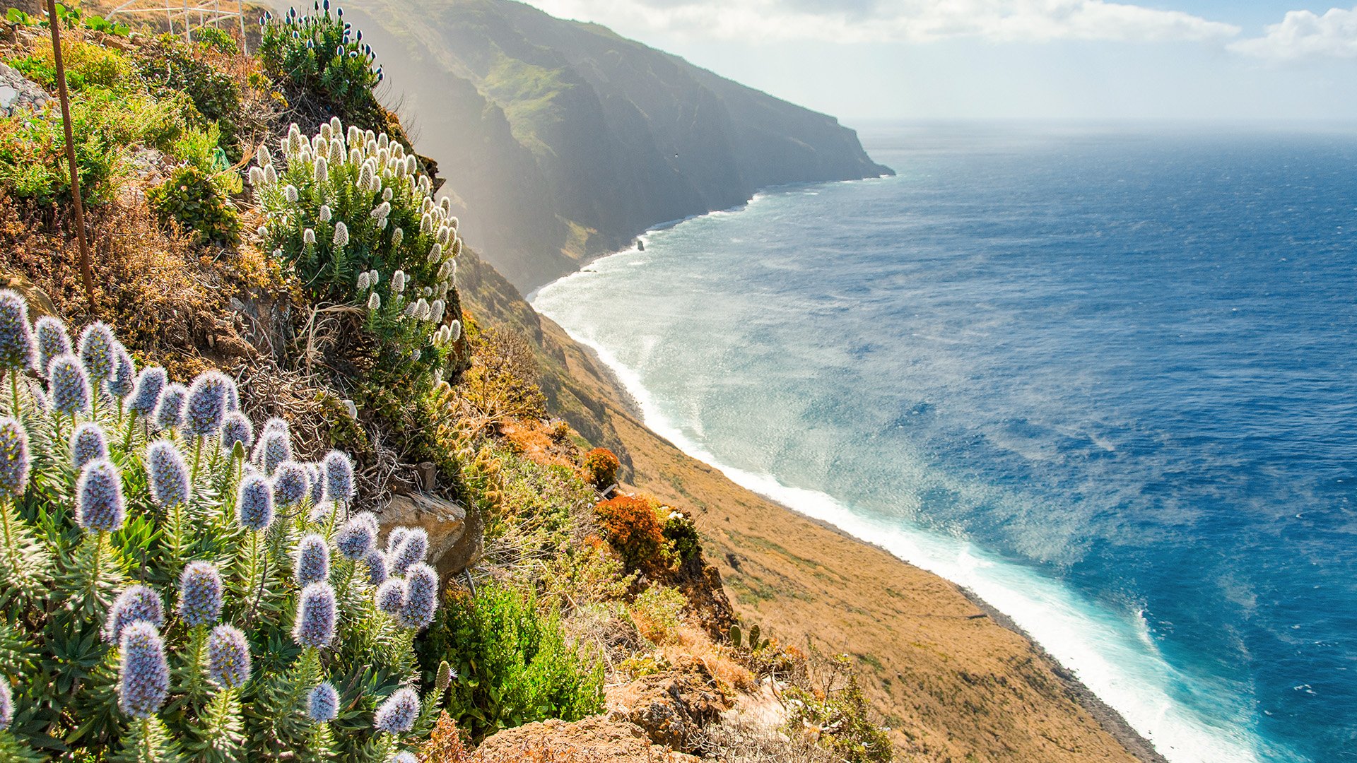 Madeiras vielfältige Landschaft und Port da Cruz