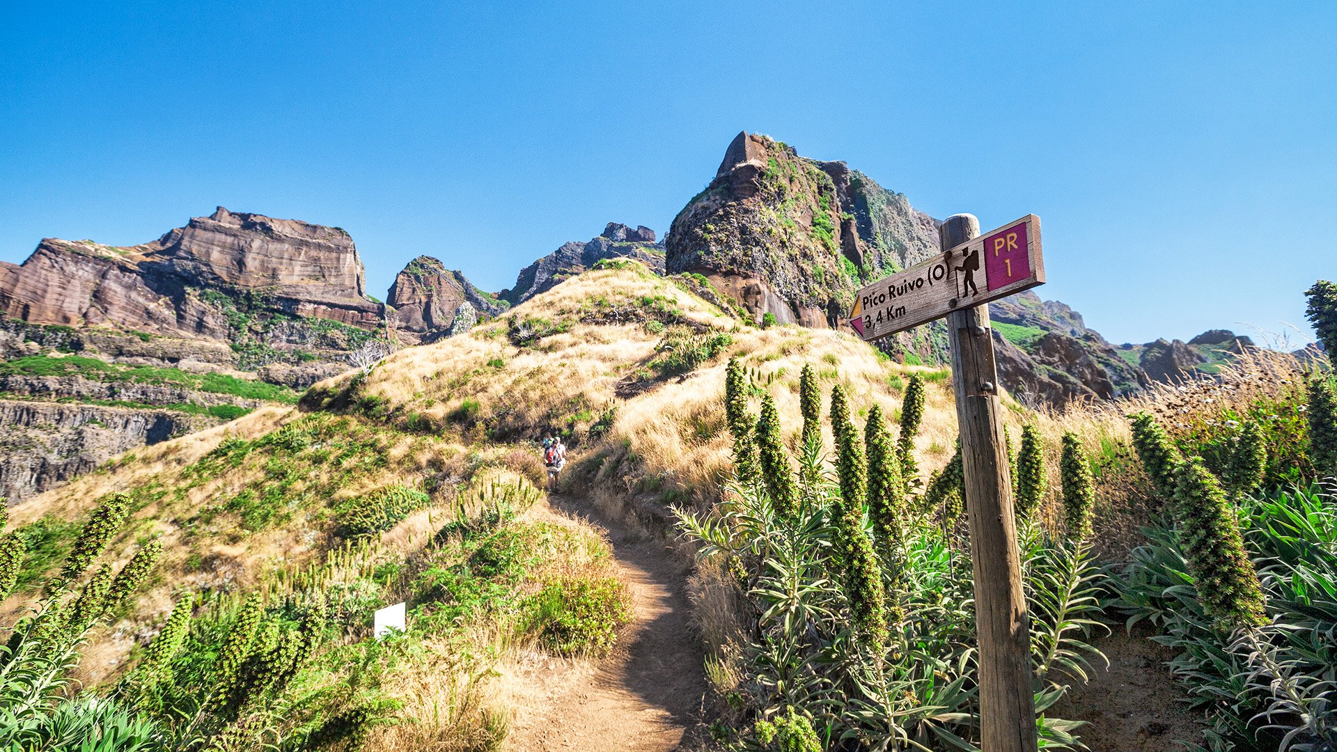 Wanderung in der Natur von Madeira