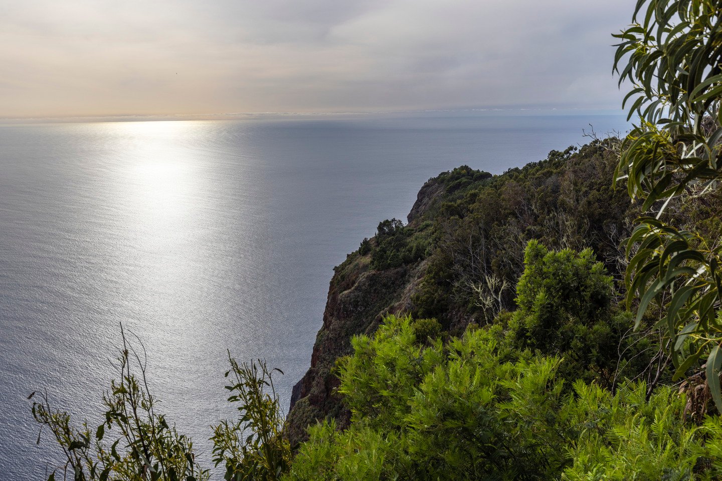 Atemberaubende Ausblicke: Steilklippe Cabo Girão & Pico da Torre