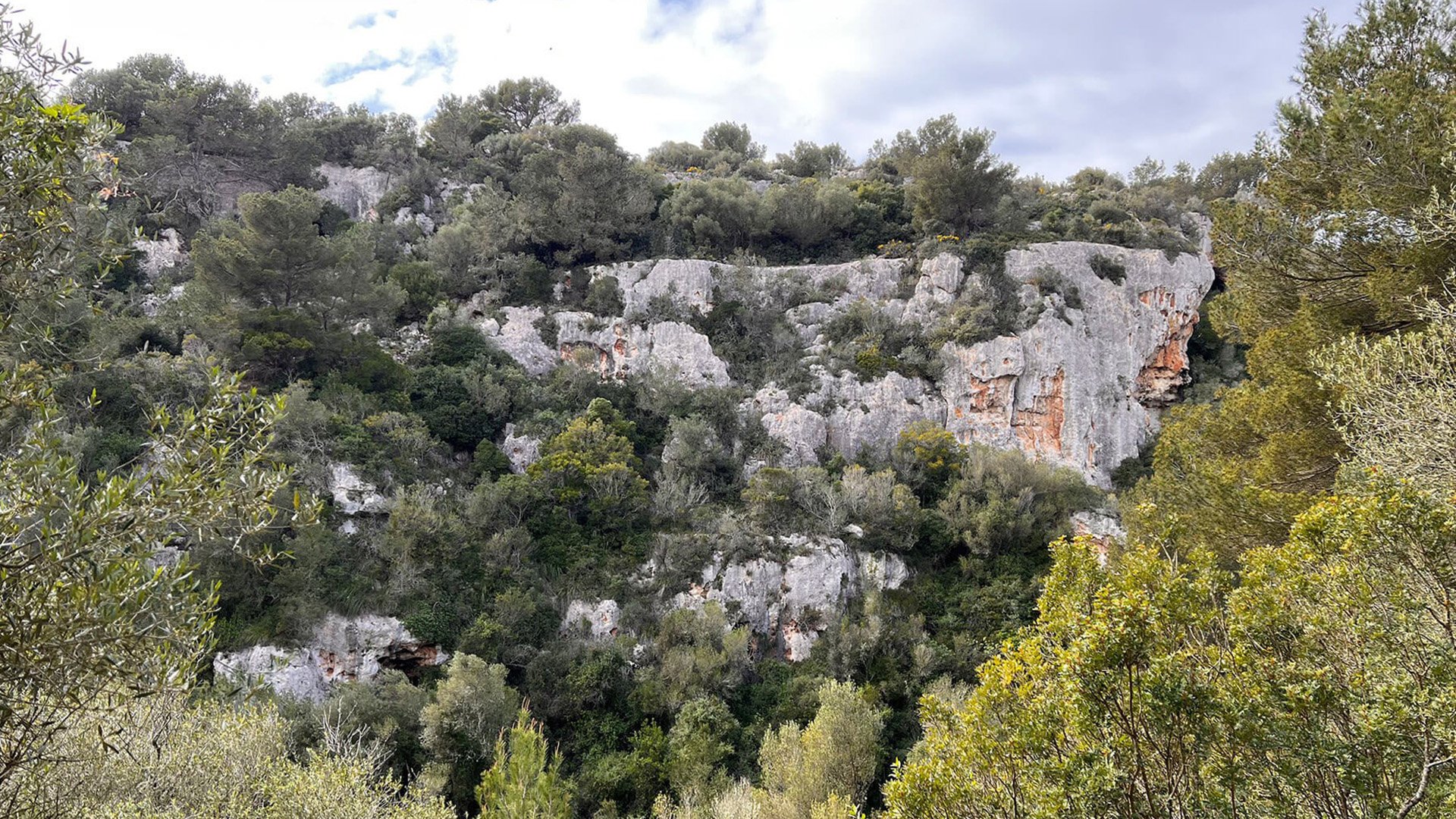 Wandern in der Kalksteinschlucht Barranc de Binigaus