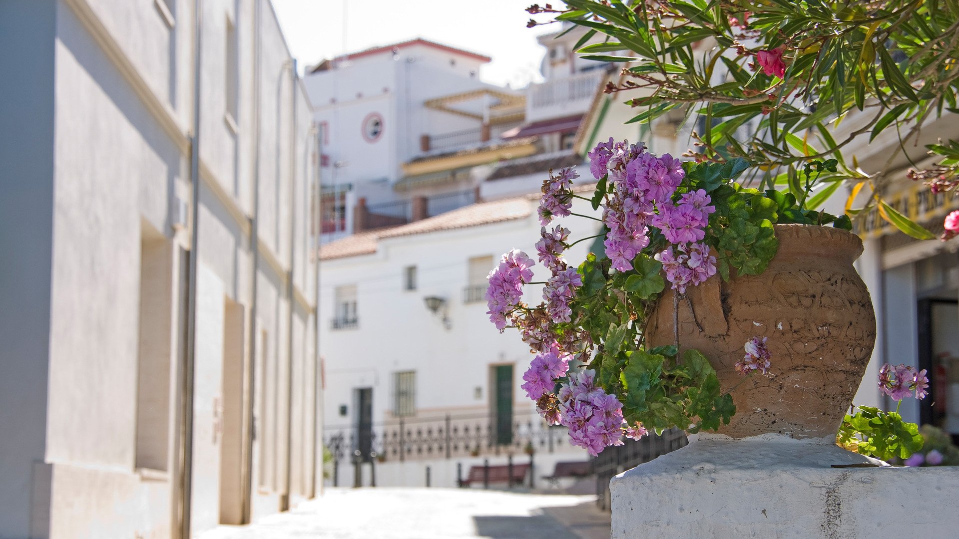 flowerpot of geraniums on the fence outside the small town